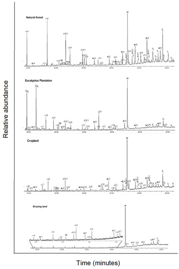 Forests 13 00560 g0a2 550