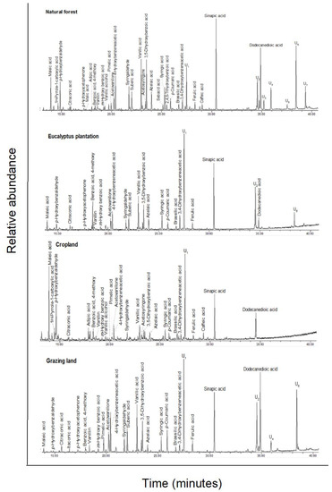 Forests 13 00560 g0a4 550