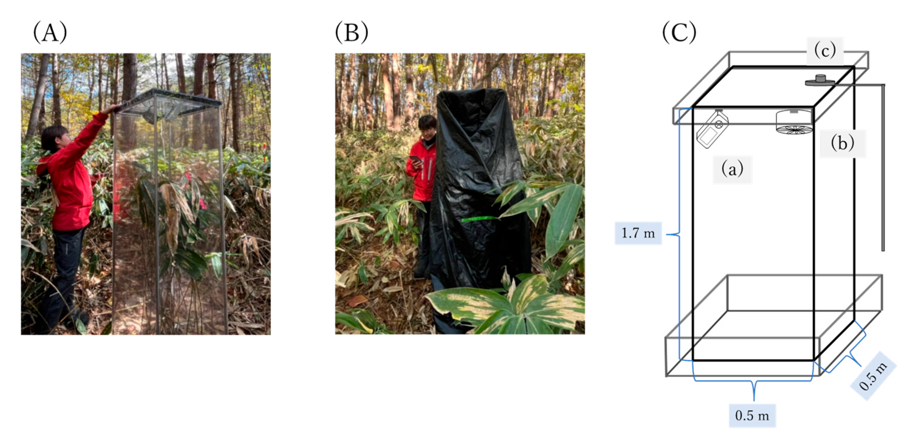 Forests 13 00564 g002