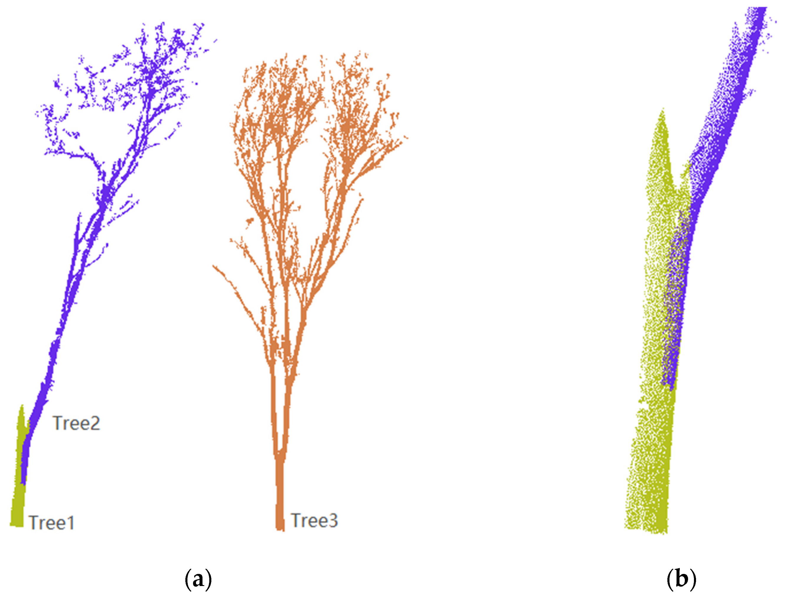 Forests 13 00566 g011