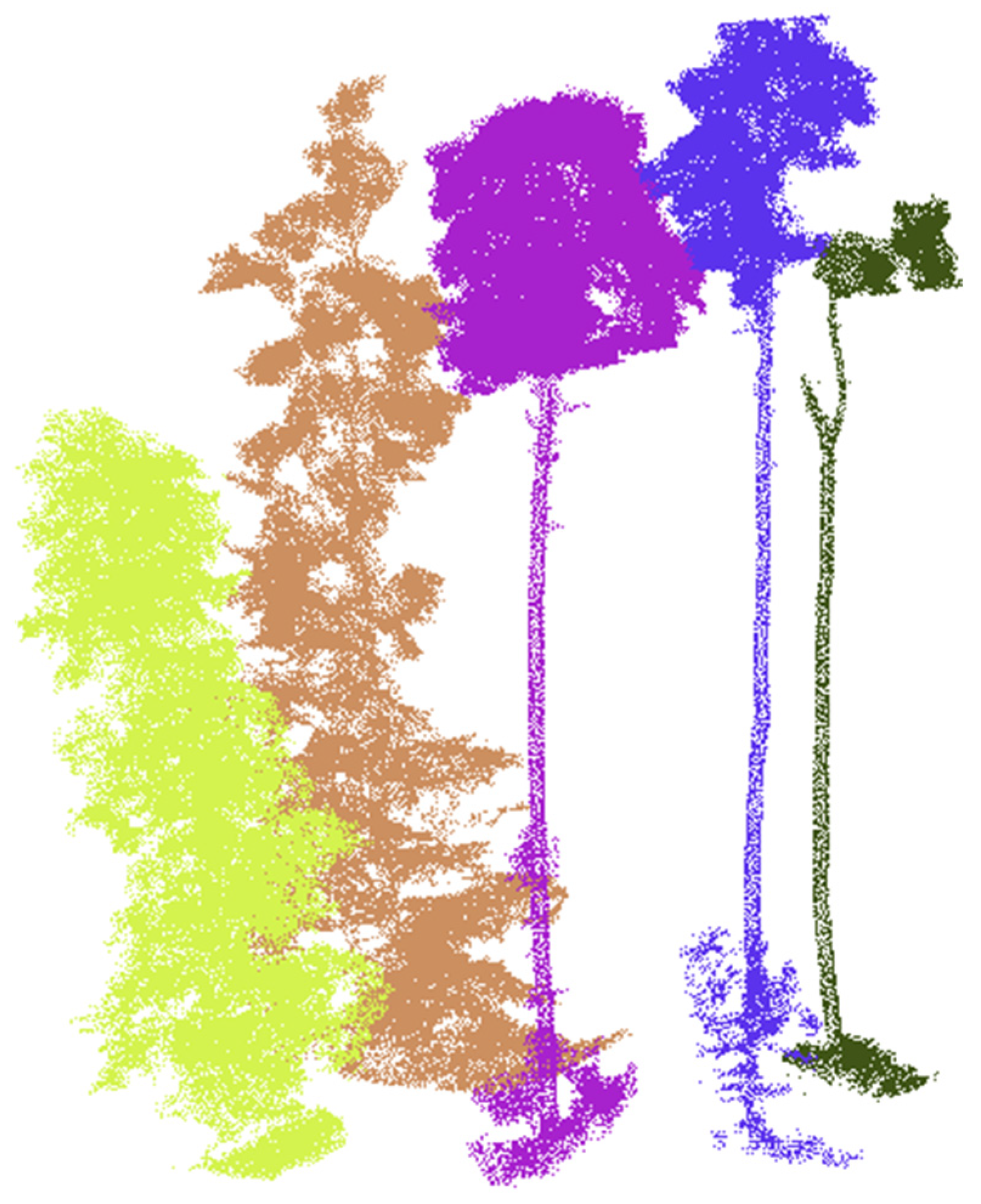 Forests 13 00566 g013