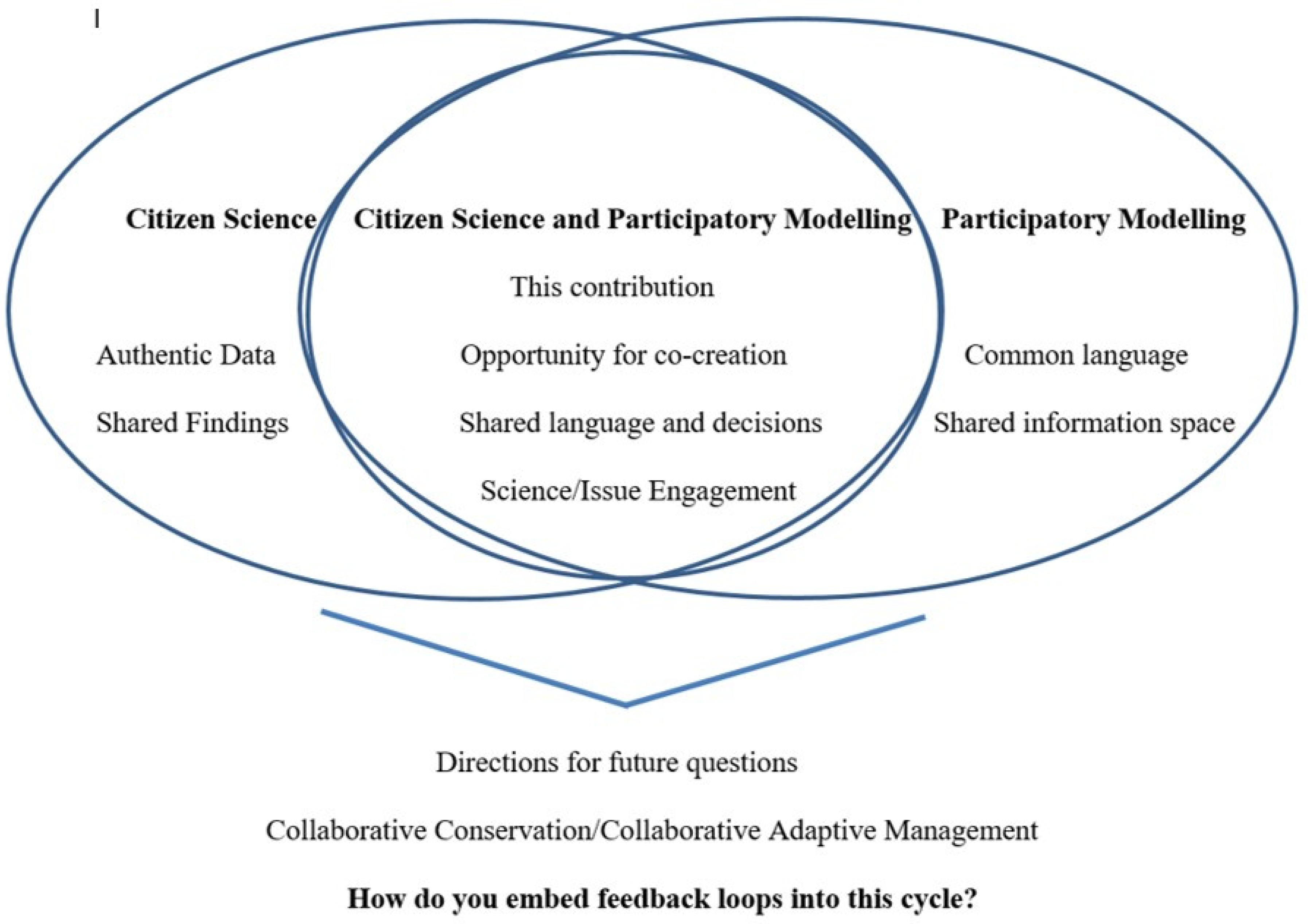 Forests 13 00567 g001