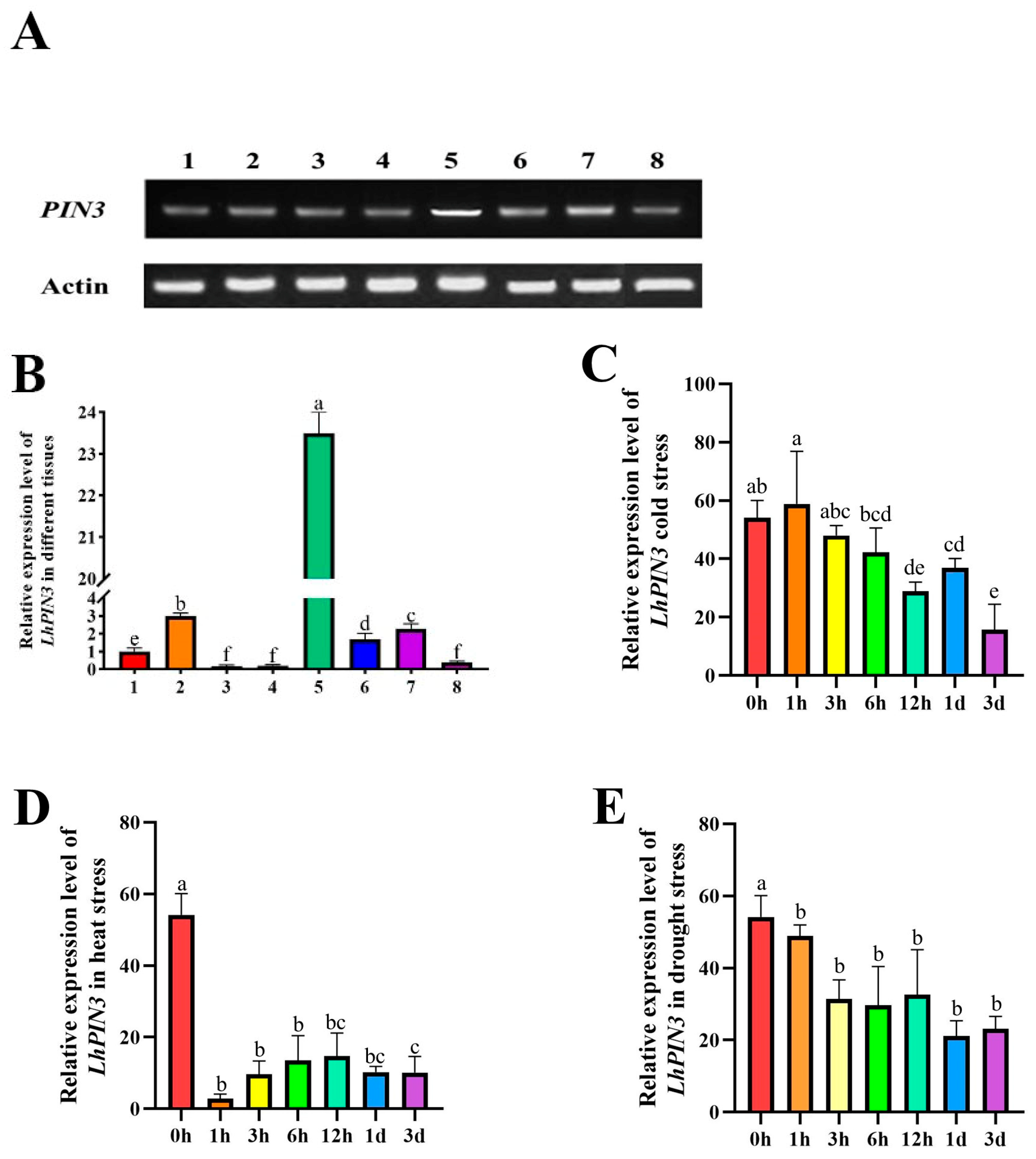 Forests 13 00568 g002
