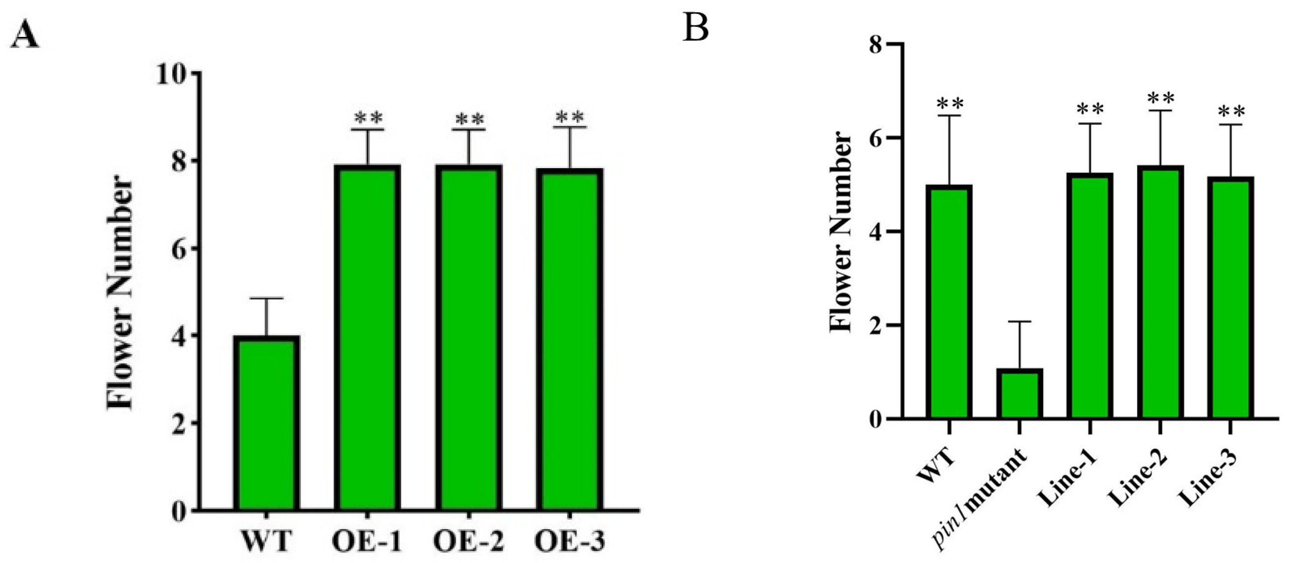Forests 13 00568 g006
