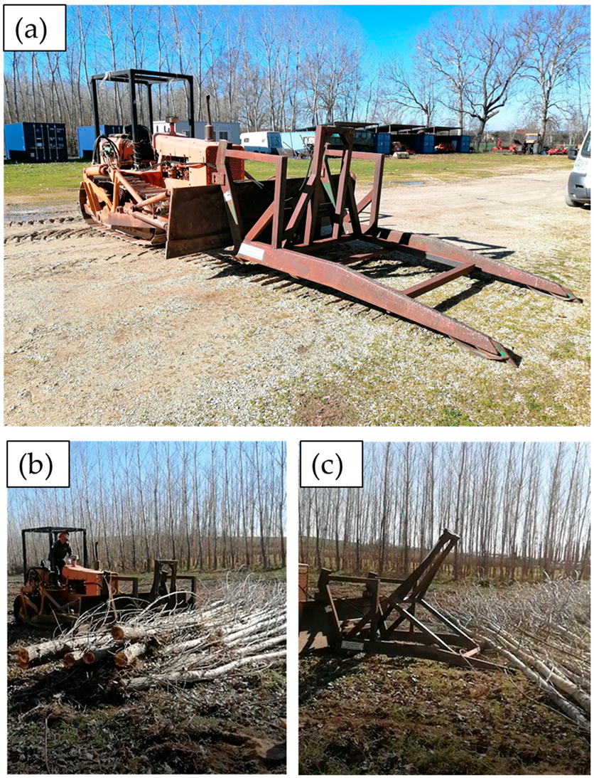 Forests 13 00569 g001