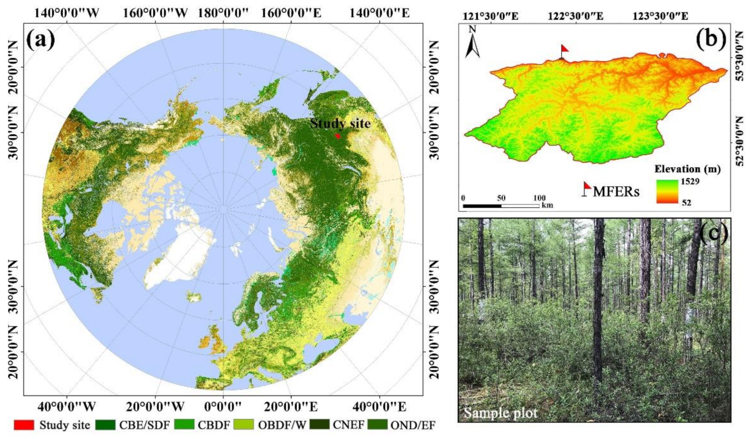 Forests 13 00571 g001