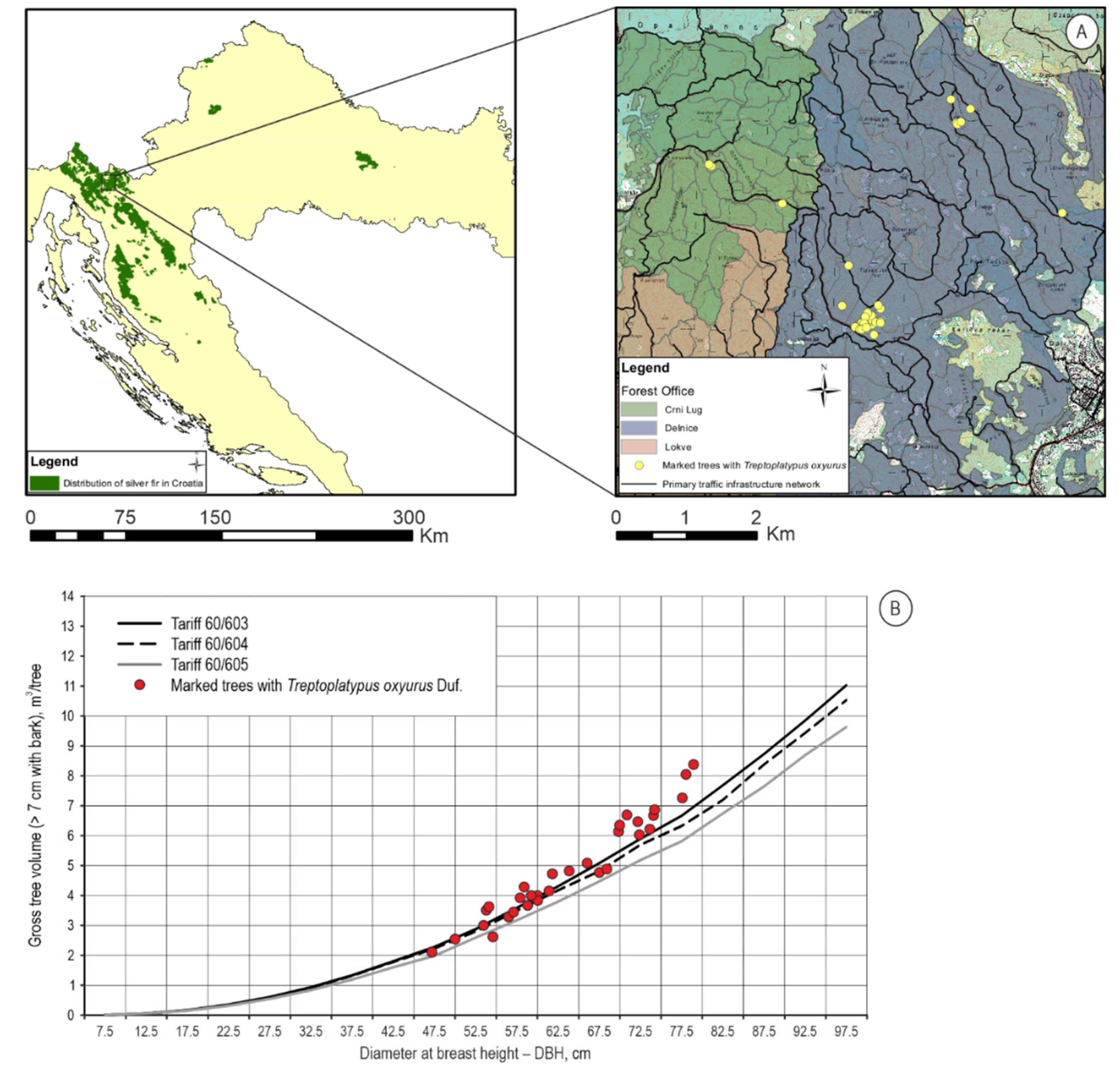 Forests 13 00580 g002