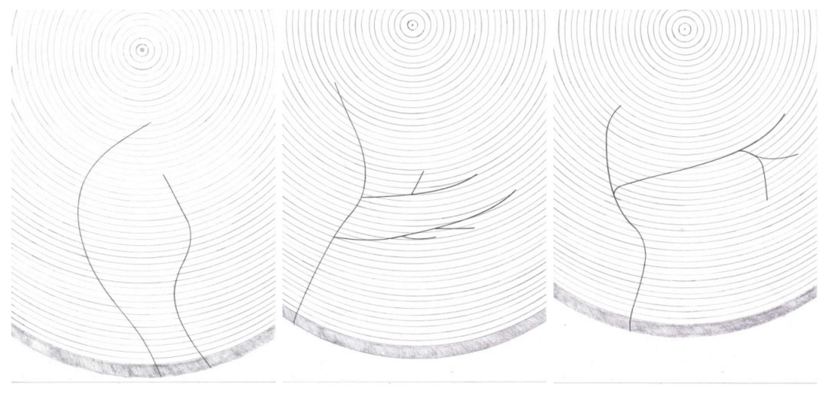 Forests 13 00580 g003