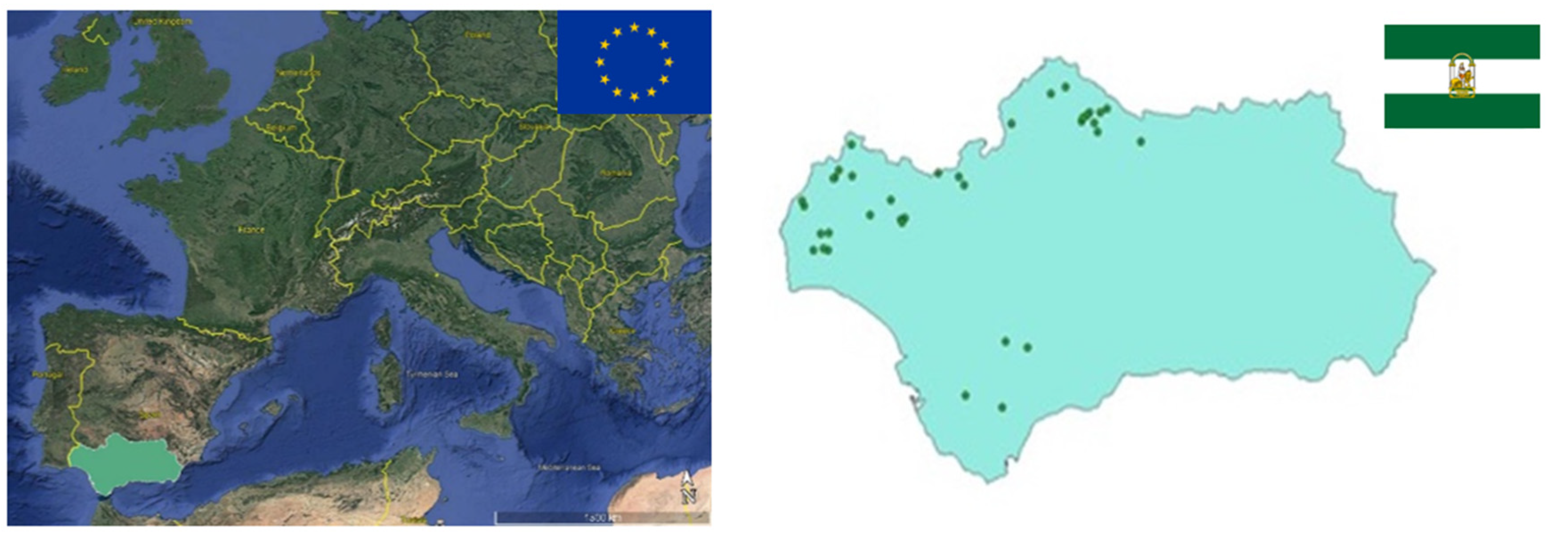 Forests 13 00581 g001