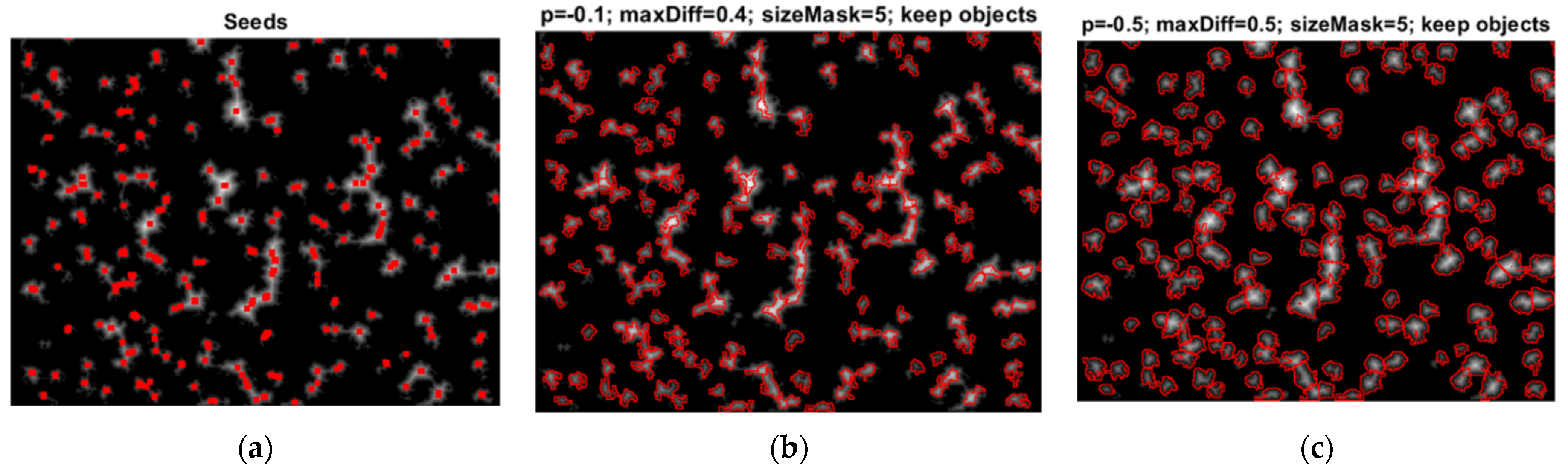 Forests 13 00581 g006