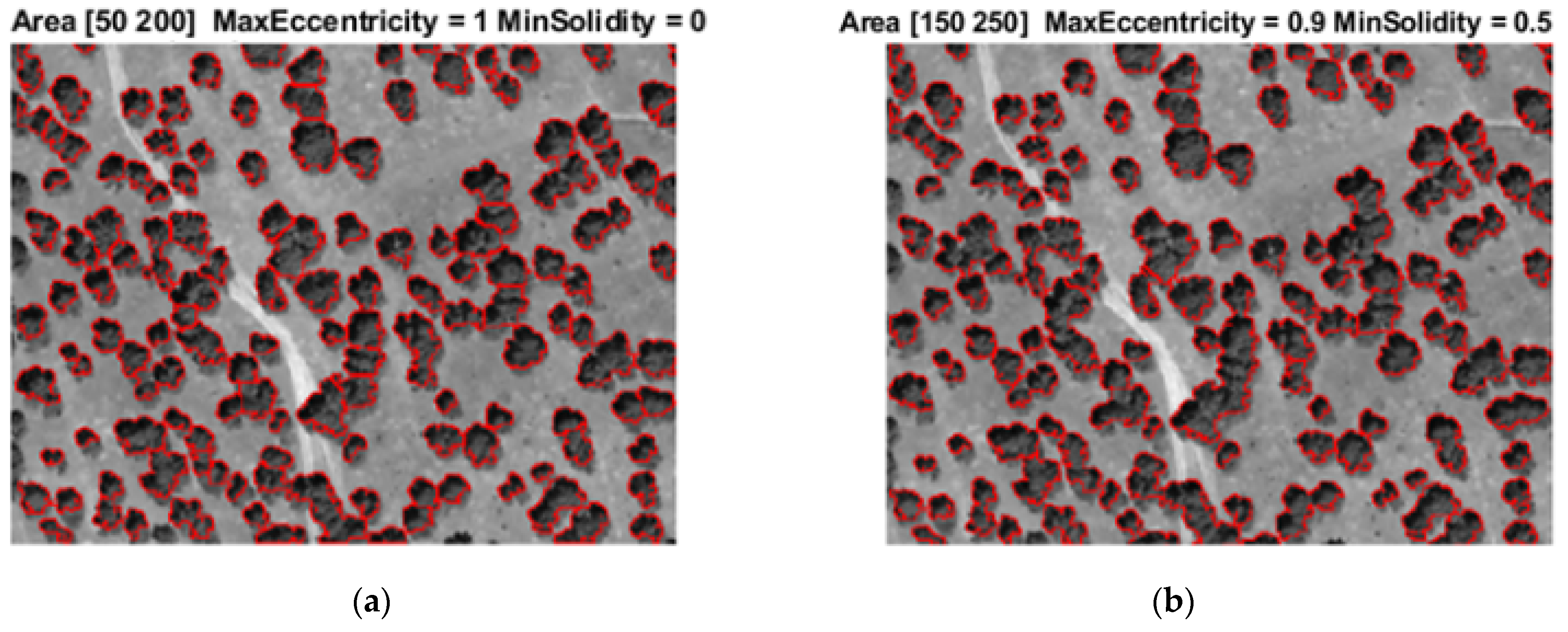 Forests 13 00581 g008