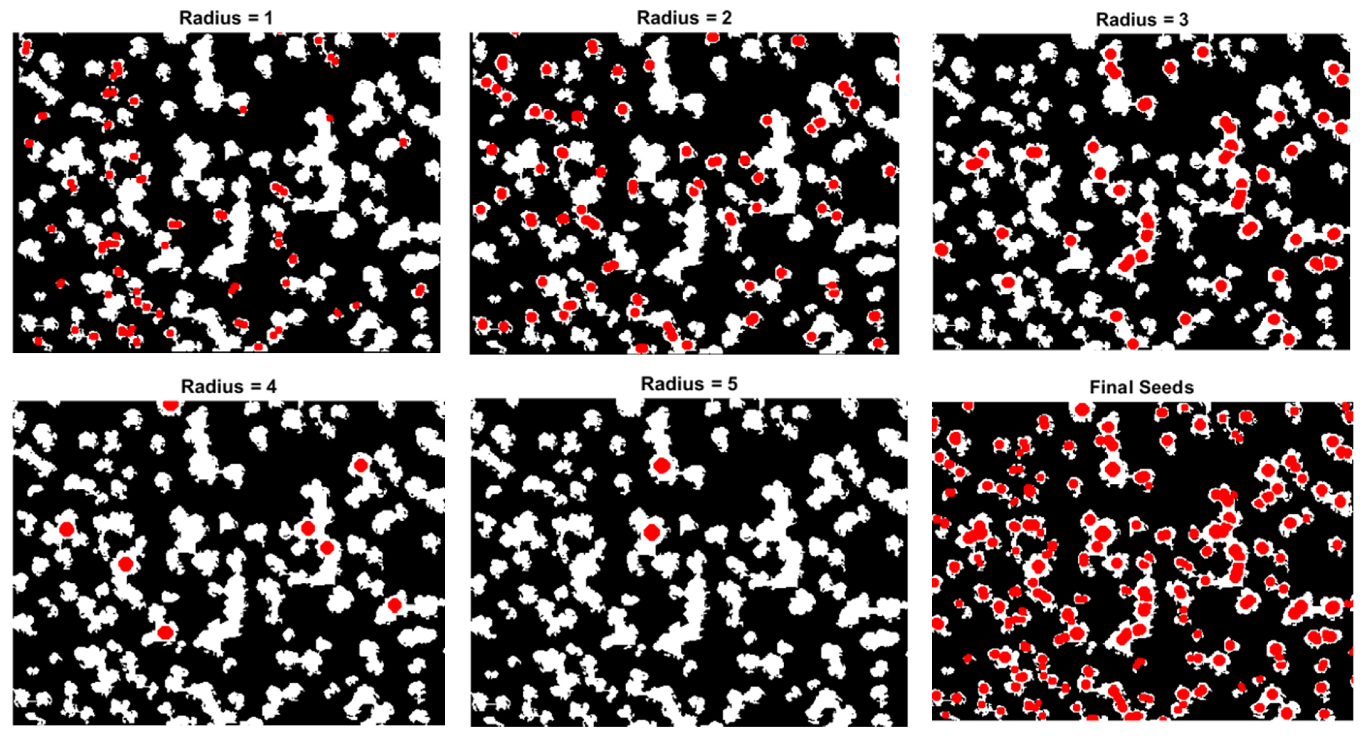 Forests 13 00581 g010