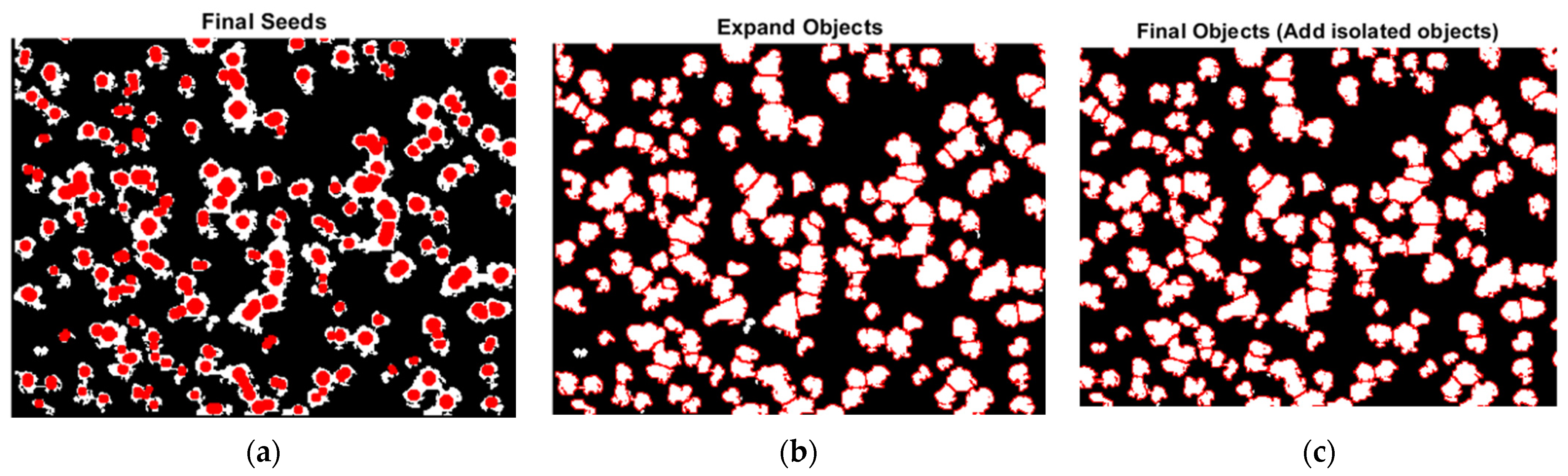 Forests 13 00581 g011