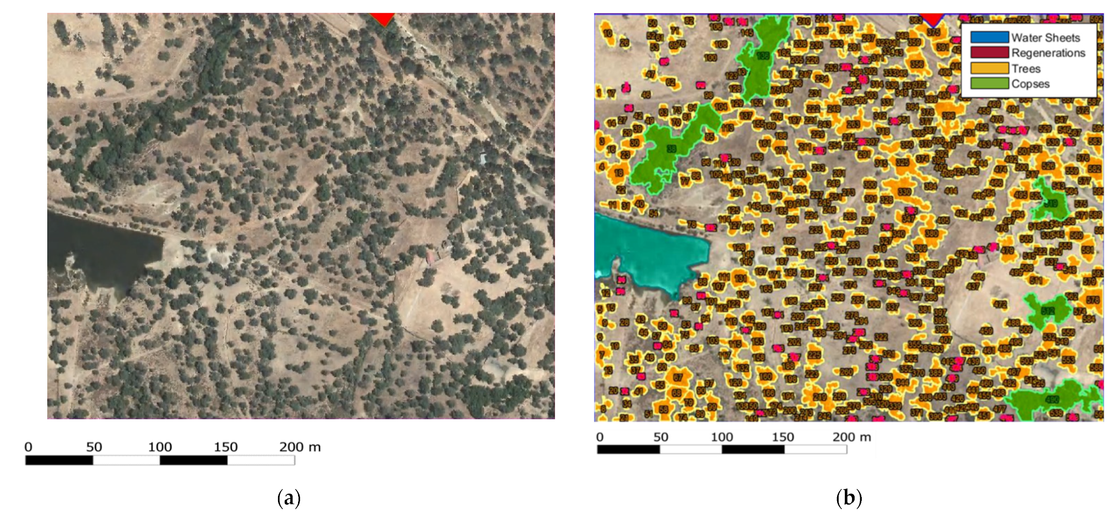 Forests 13 00581 g013