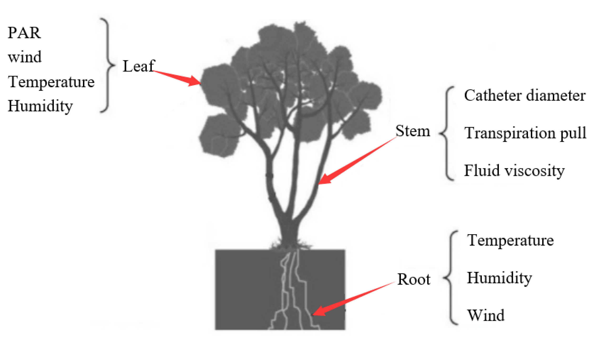 Forests 13 00583 g001