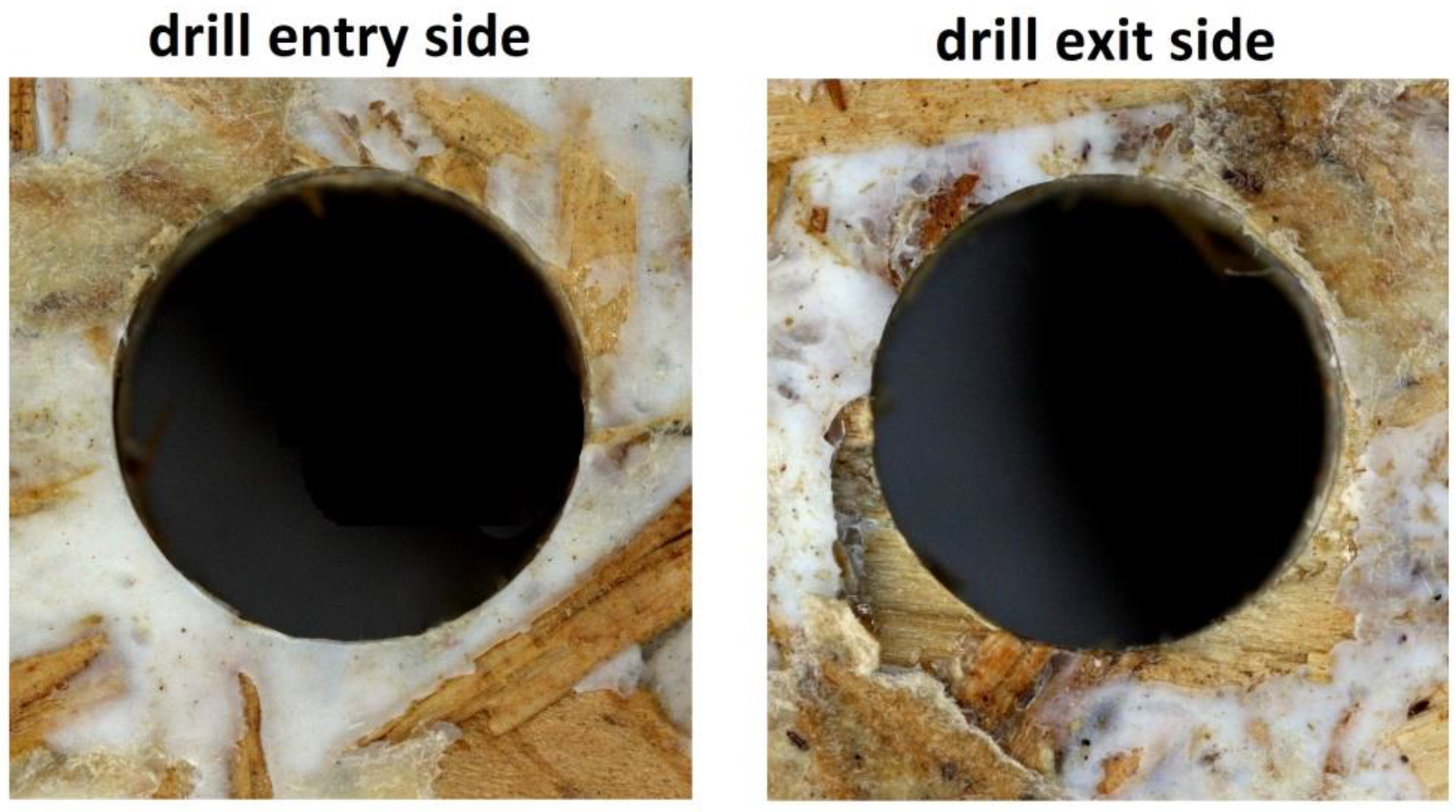 Forests 13 00584 g002