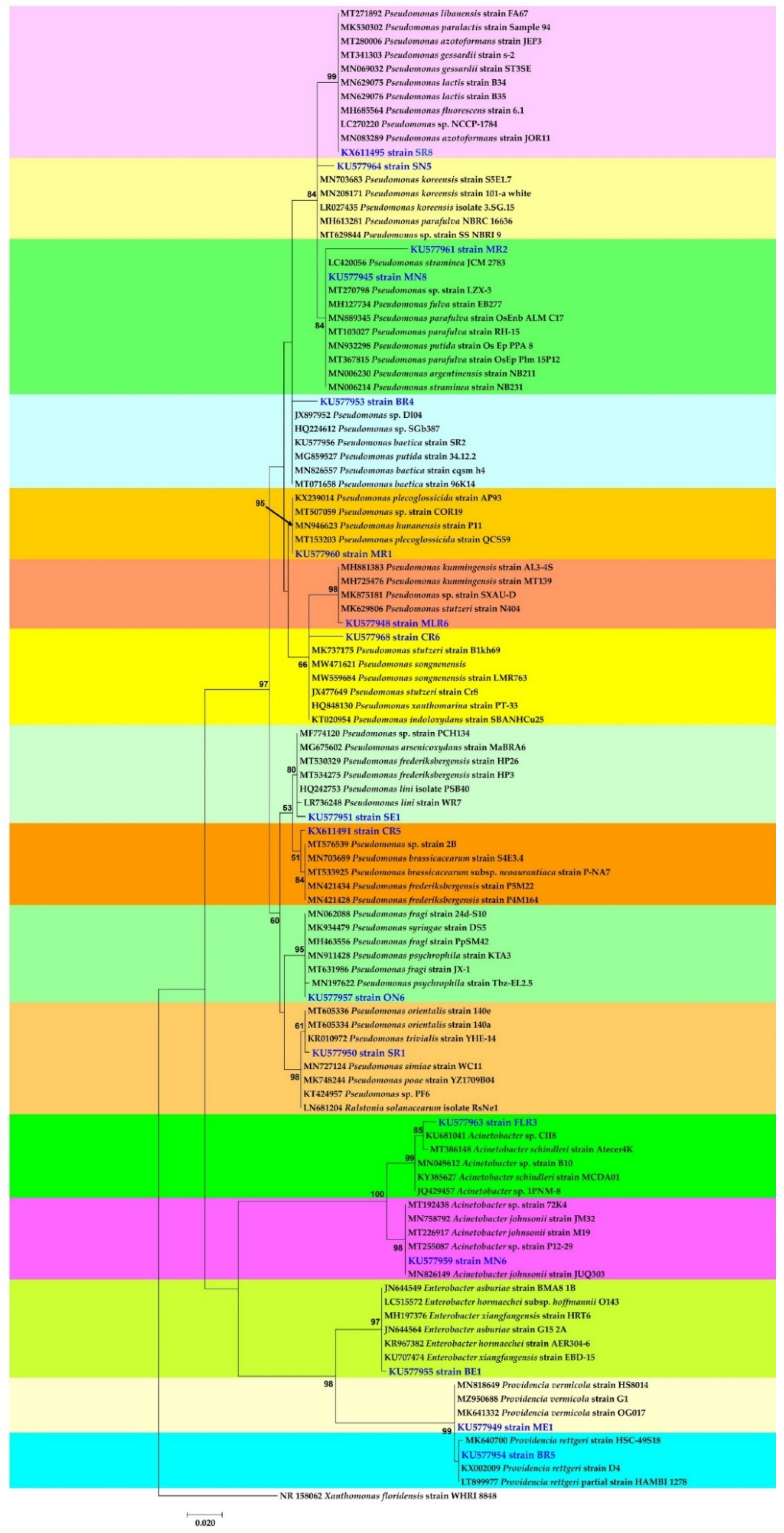 Forests 13 00586 g005