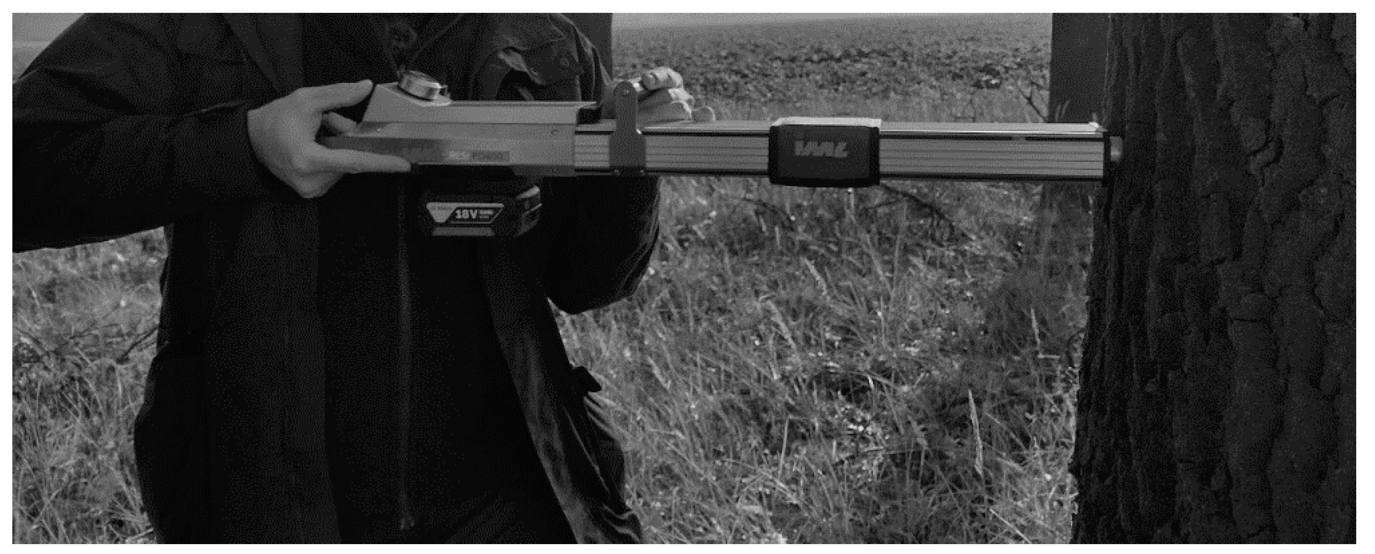 Forests 13 00589 g001