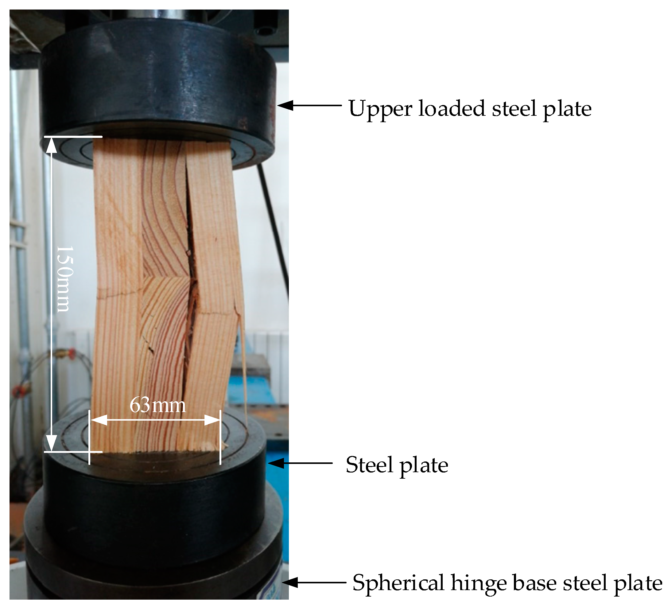 Forests 13 00591 g001