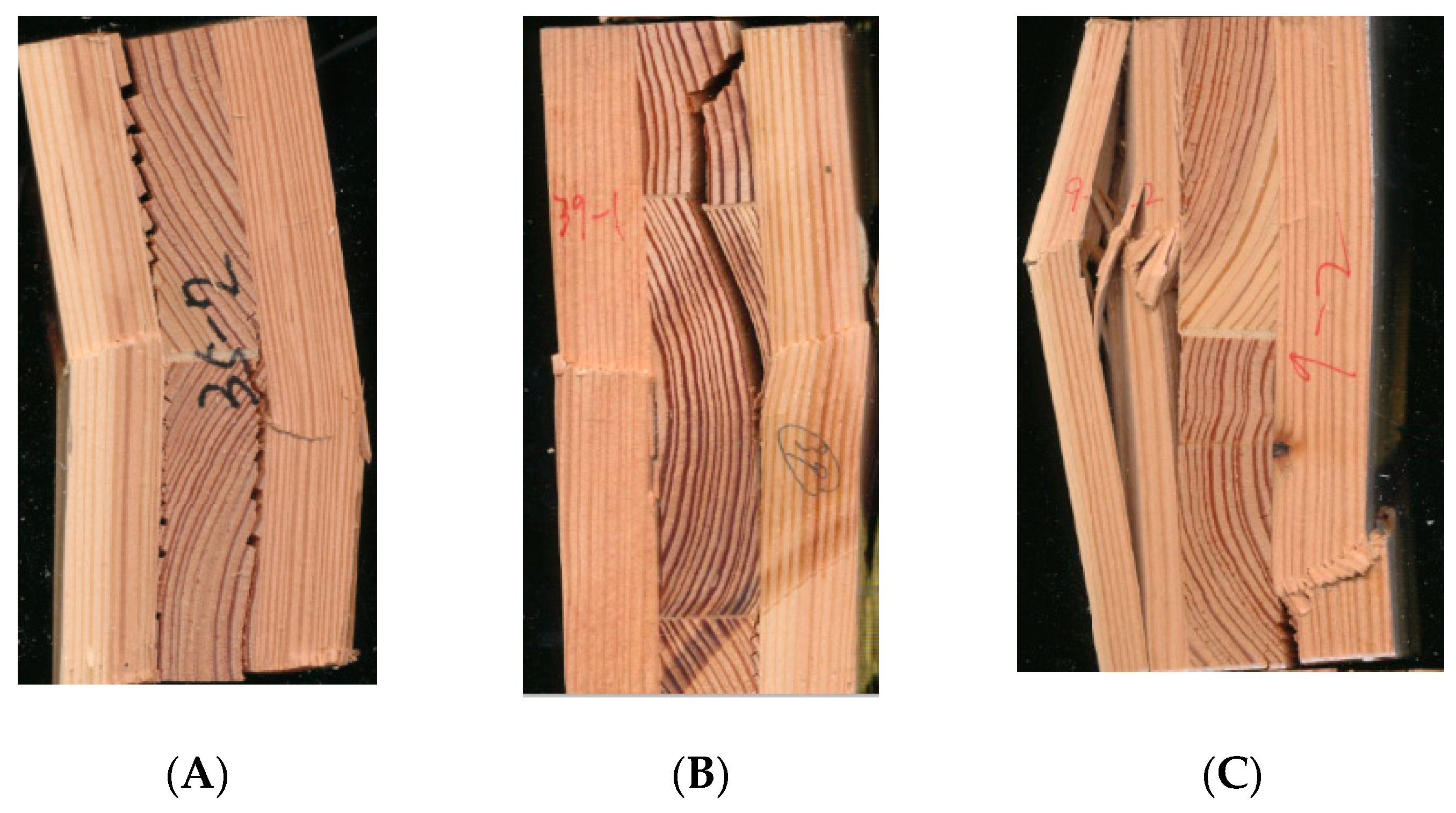 Forests 13 00591 g002