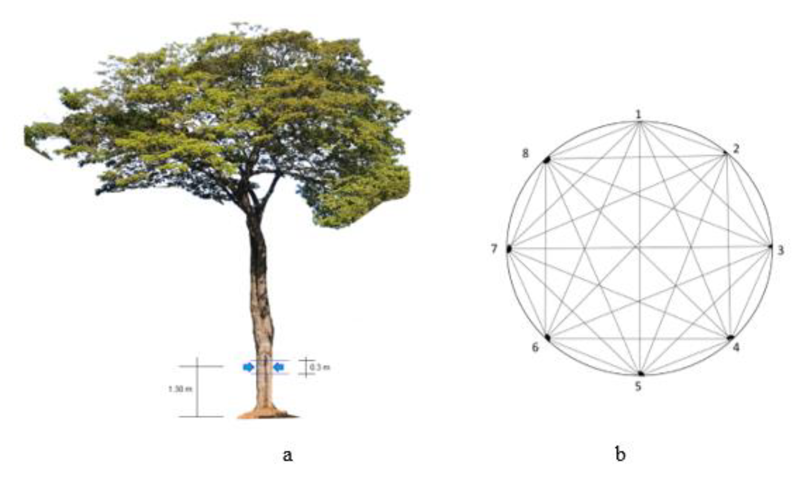 Forests 13 00596 g003