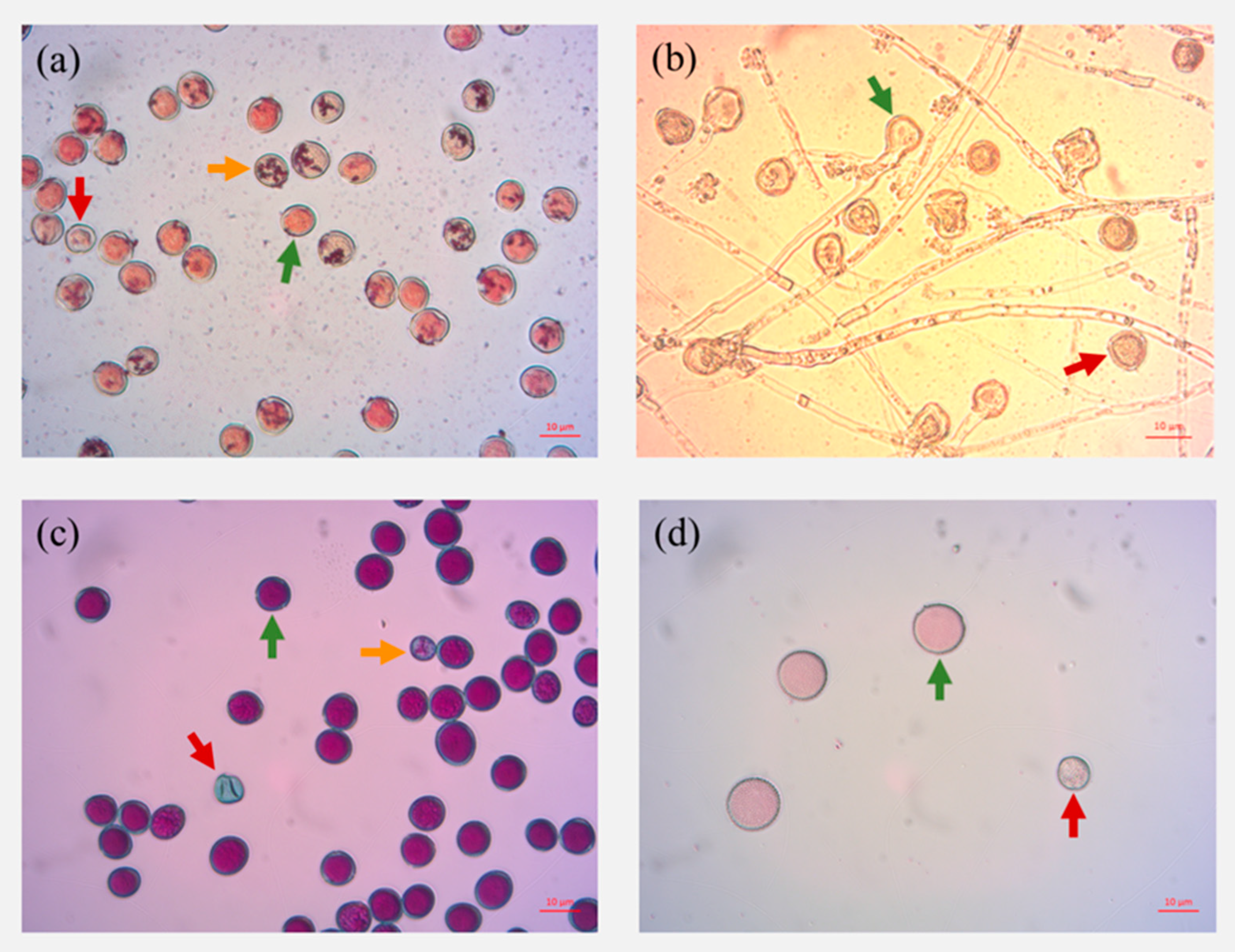 Forests 13 00600 g001