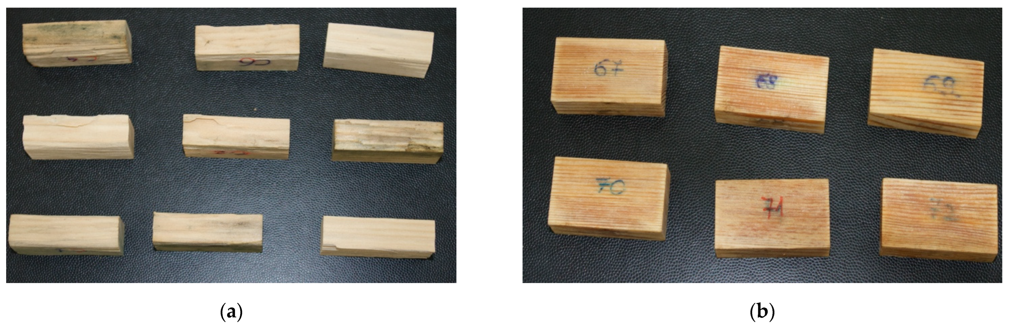 Forests 13 00603 g001 Forests 13 00603 g001