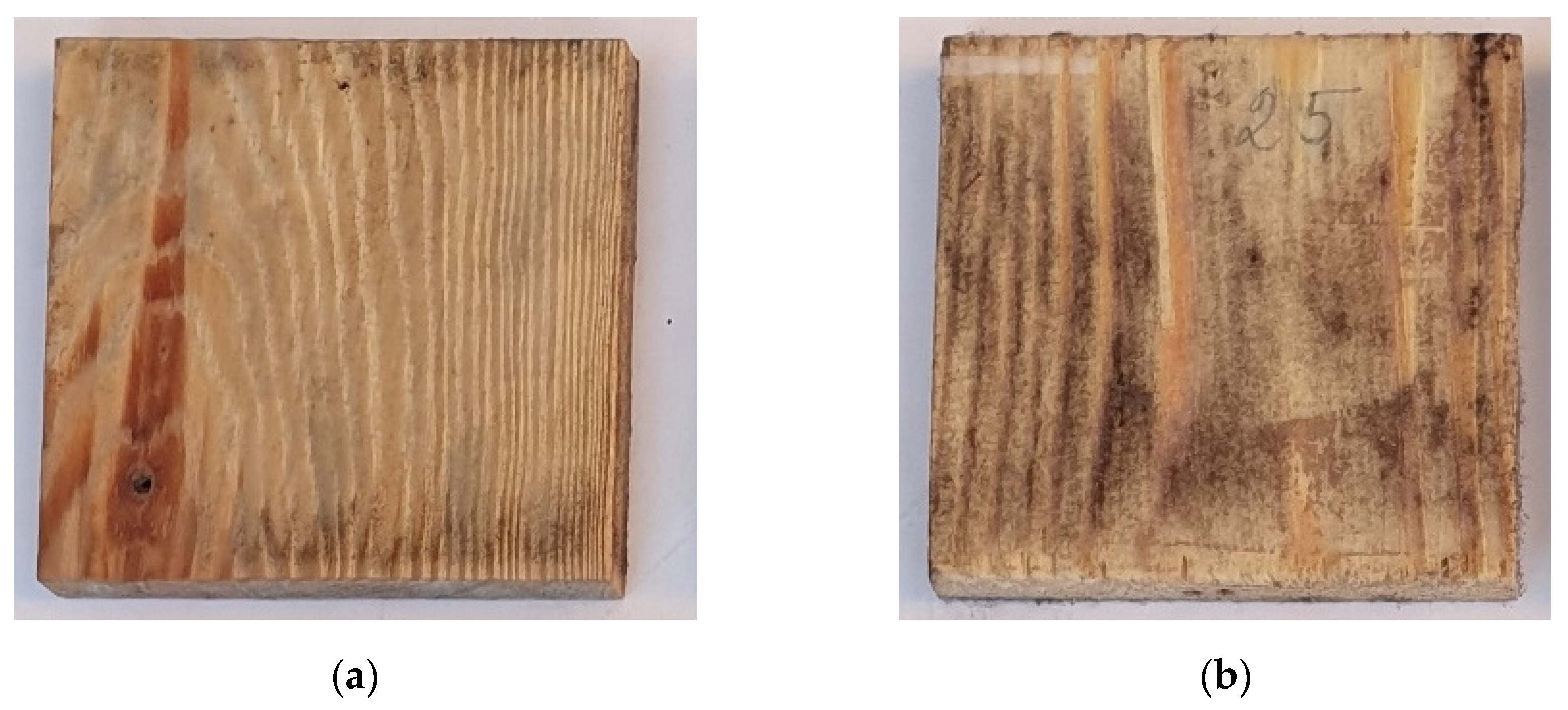 Forests 13 00603 g002 Forests 13 00603 g002