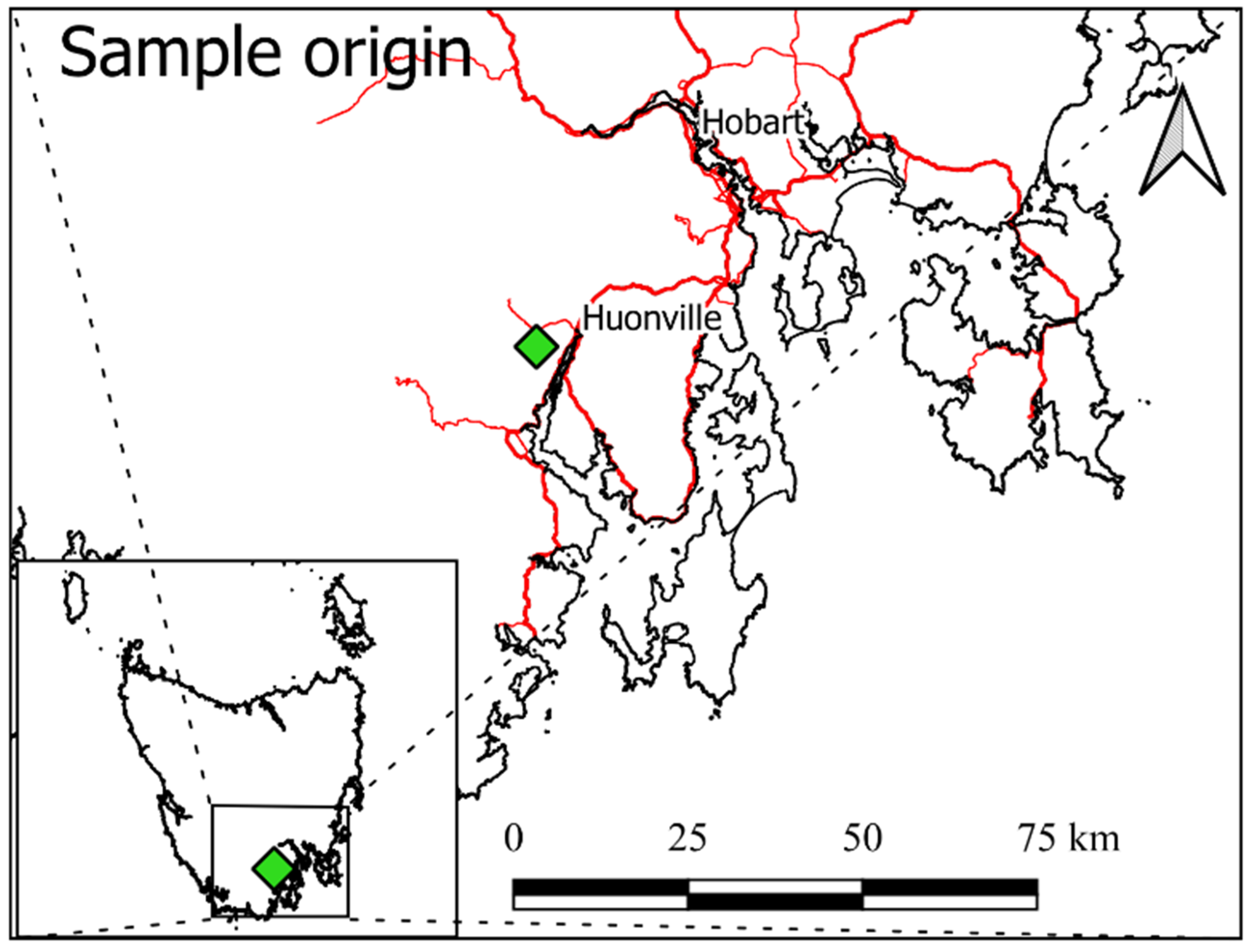 Forests 13 00607 g002