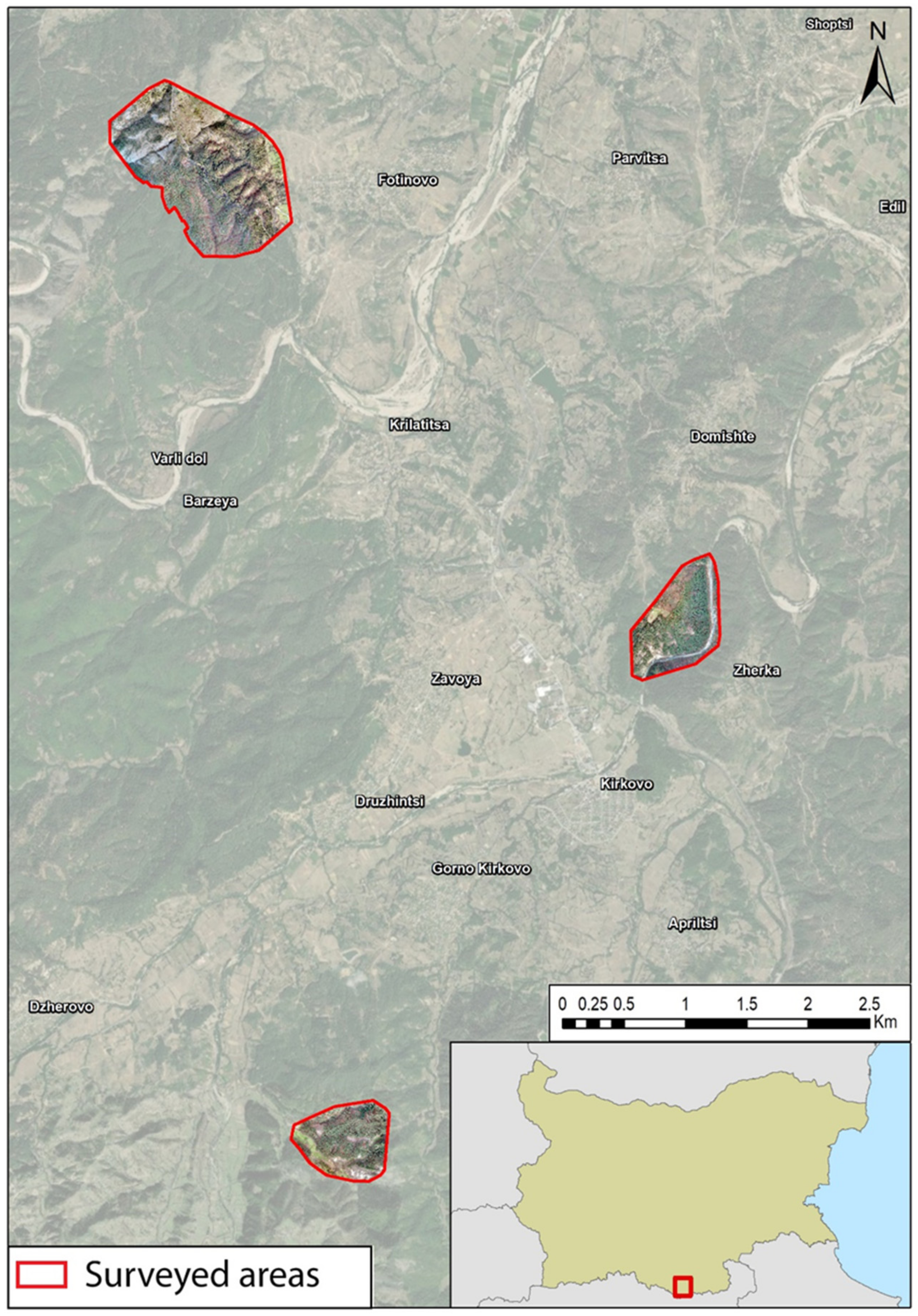 Forests 13 00620 g001