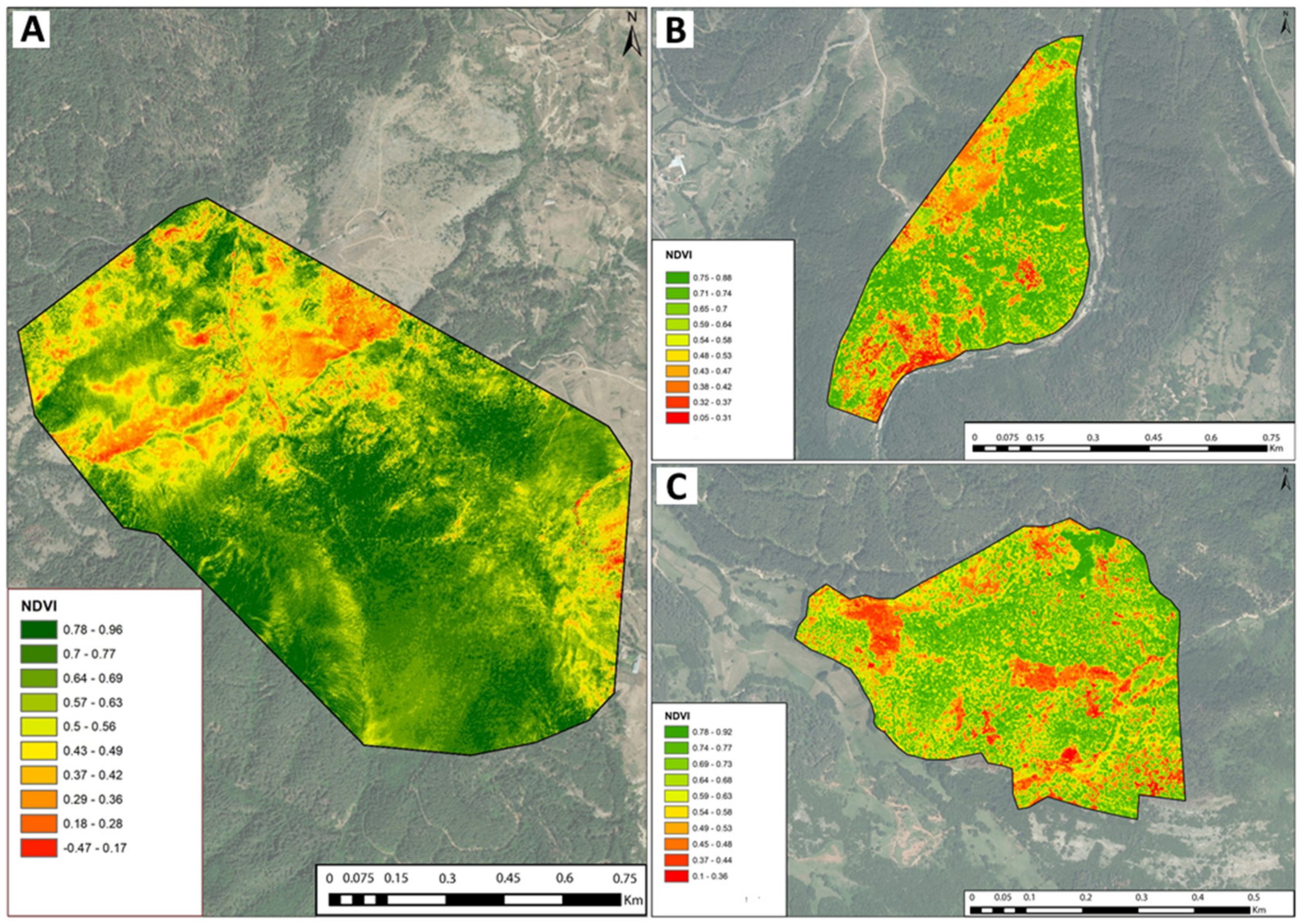 Forests 13 00620 g002