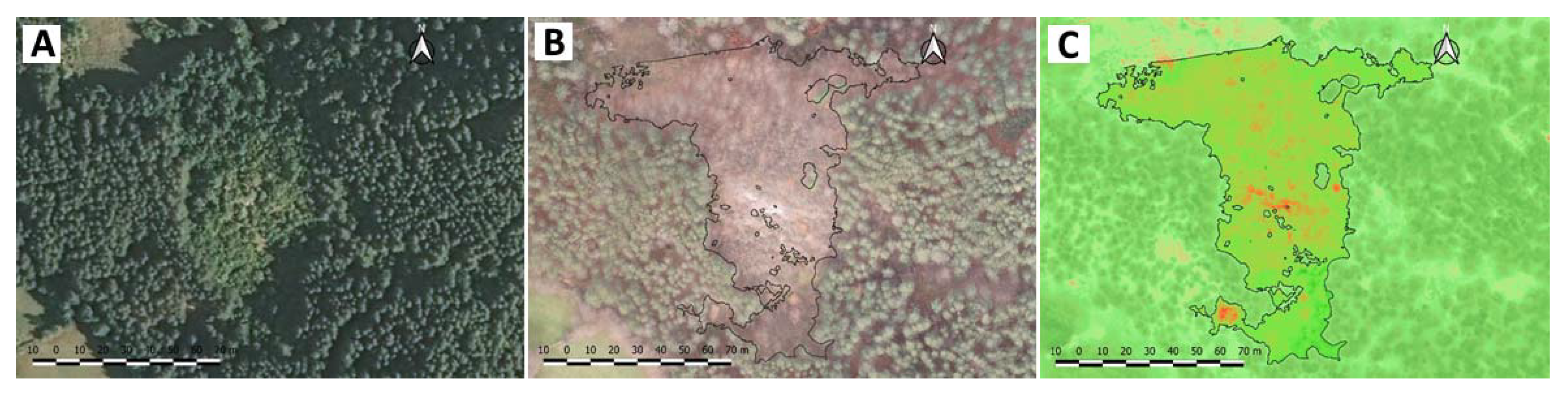 Forests 13 00620 g003