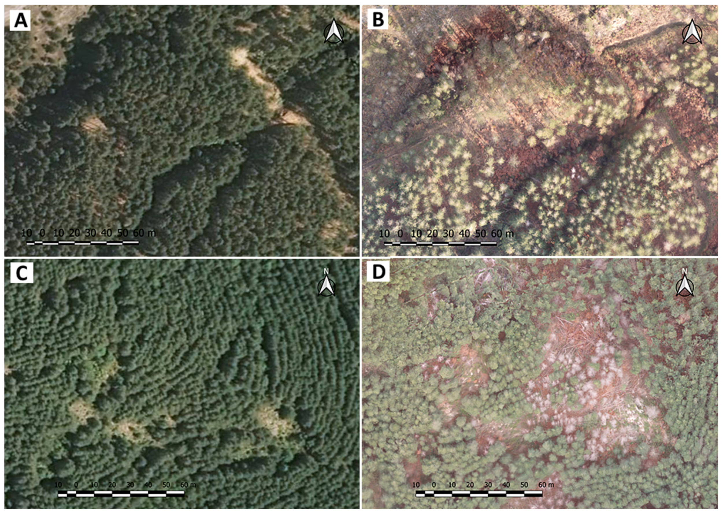 Forests 13 00620 g007