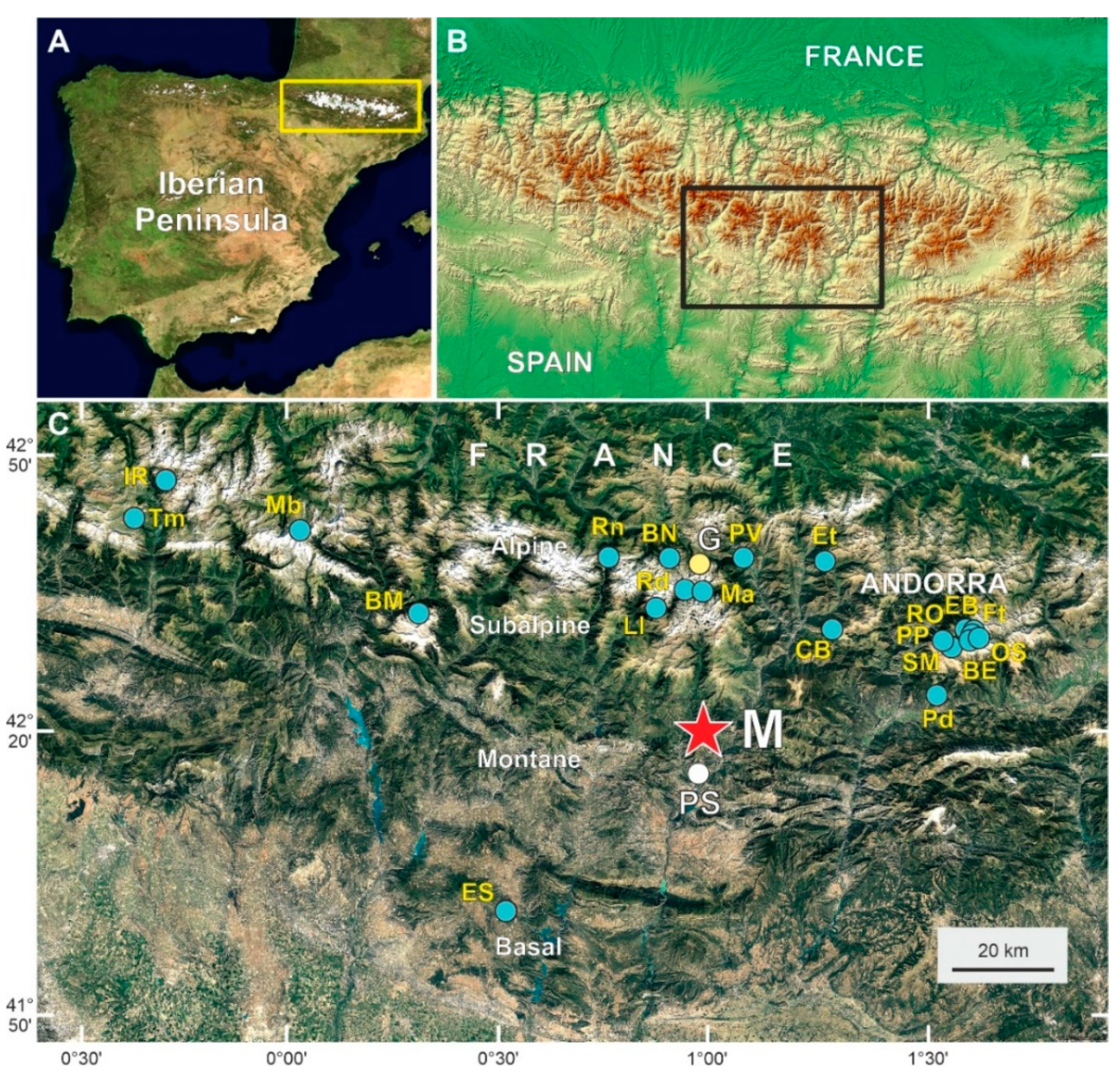 Forests 13 00622 g001