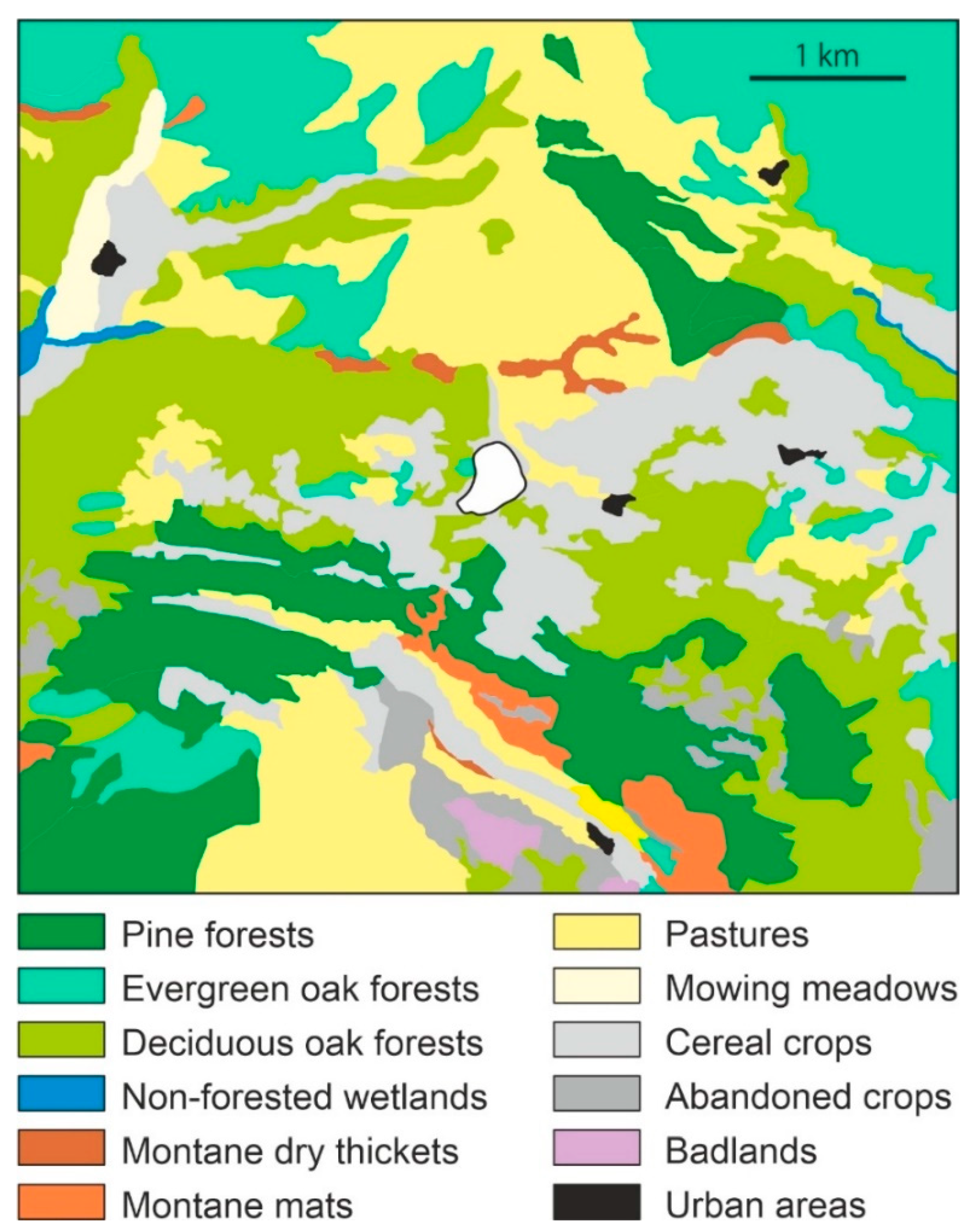 Forests 13 00622 g003