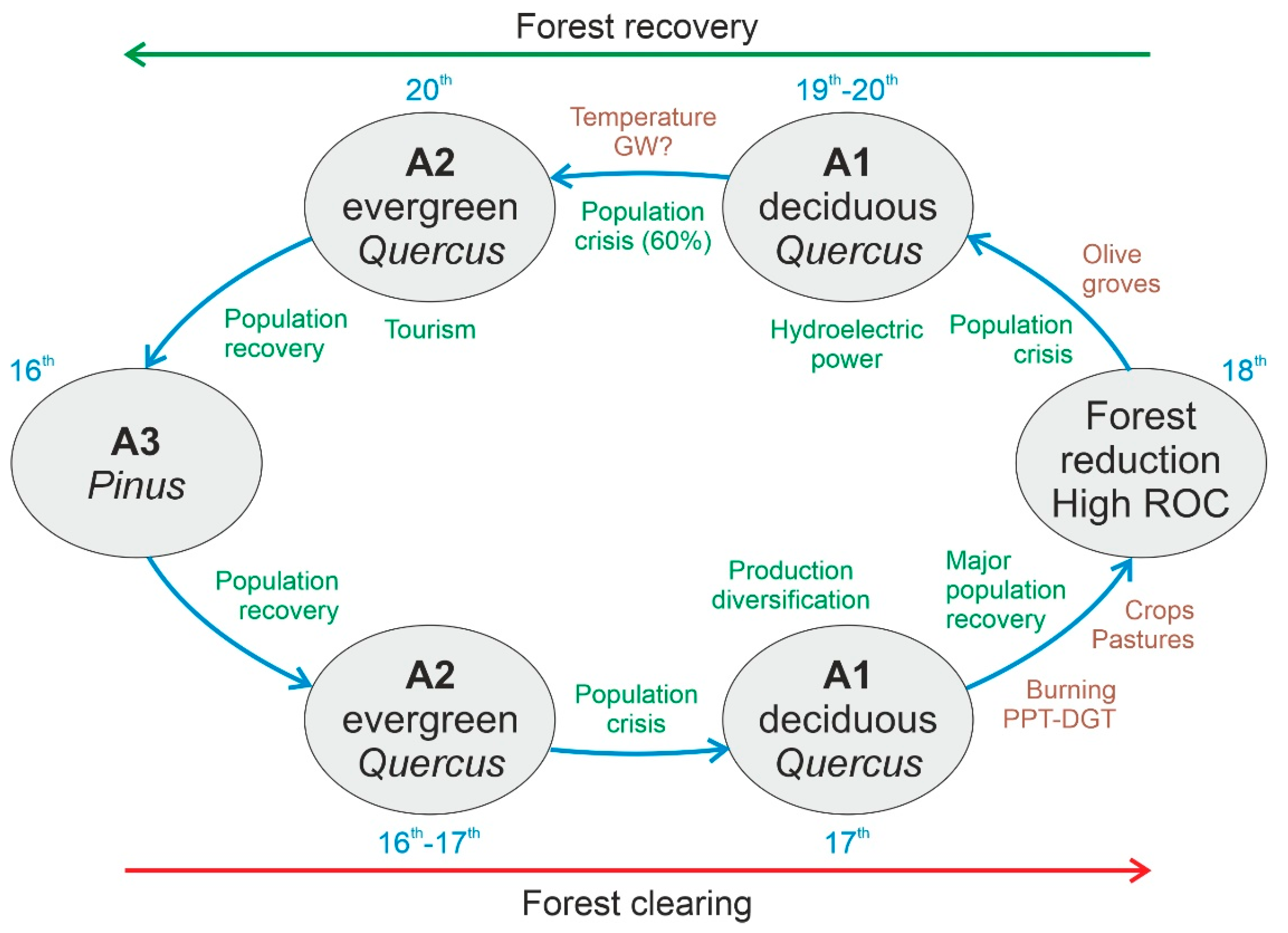 Forests 13 00622 g016
