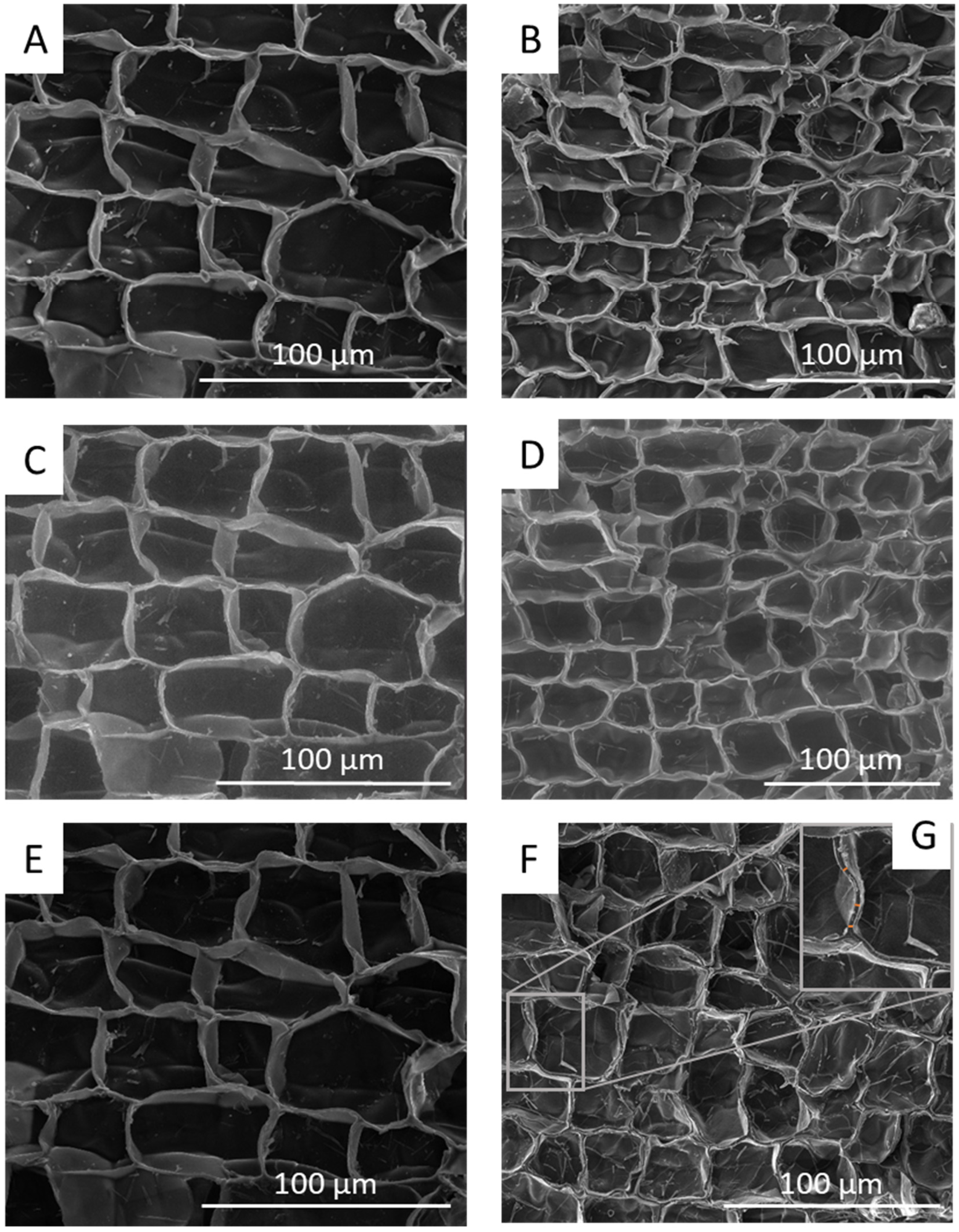 Forests 13 00623 g001