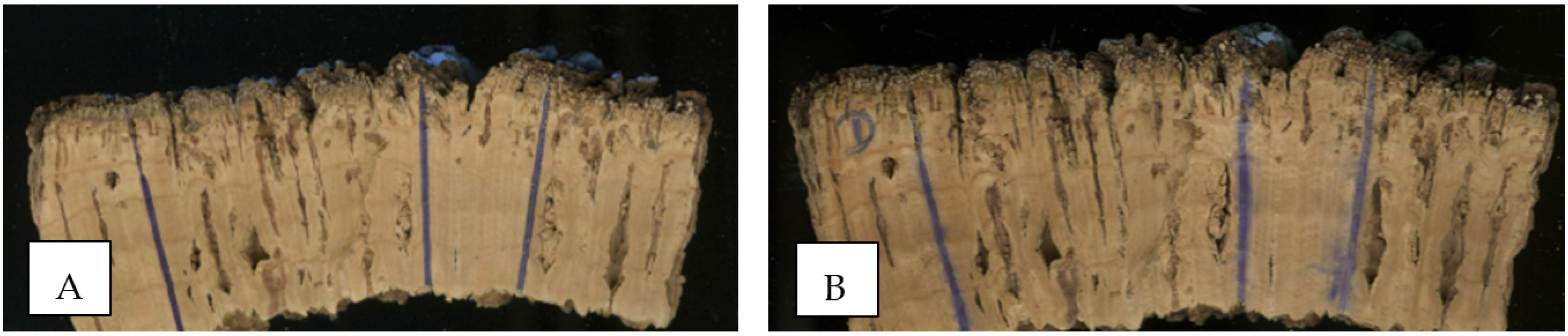 Forests 13 00623 g002