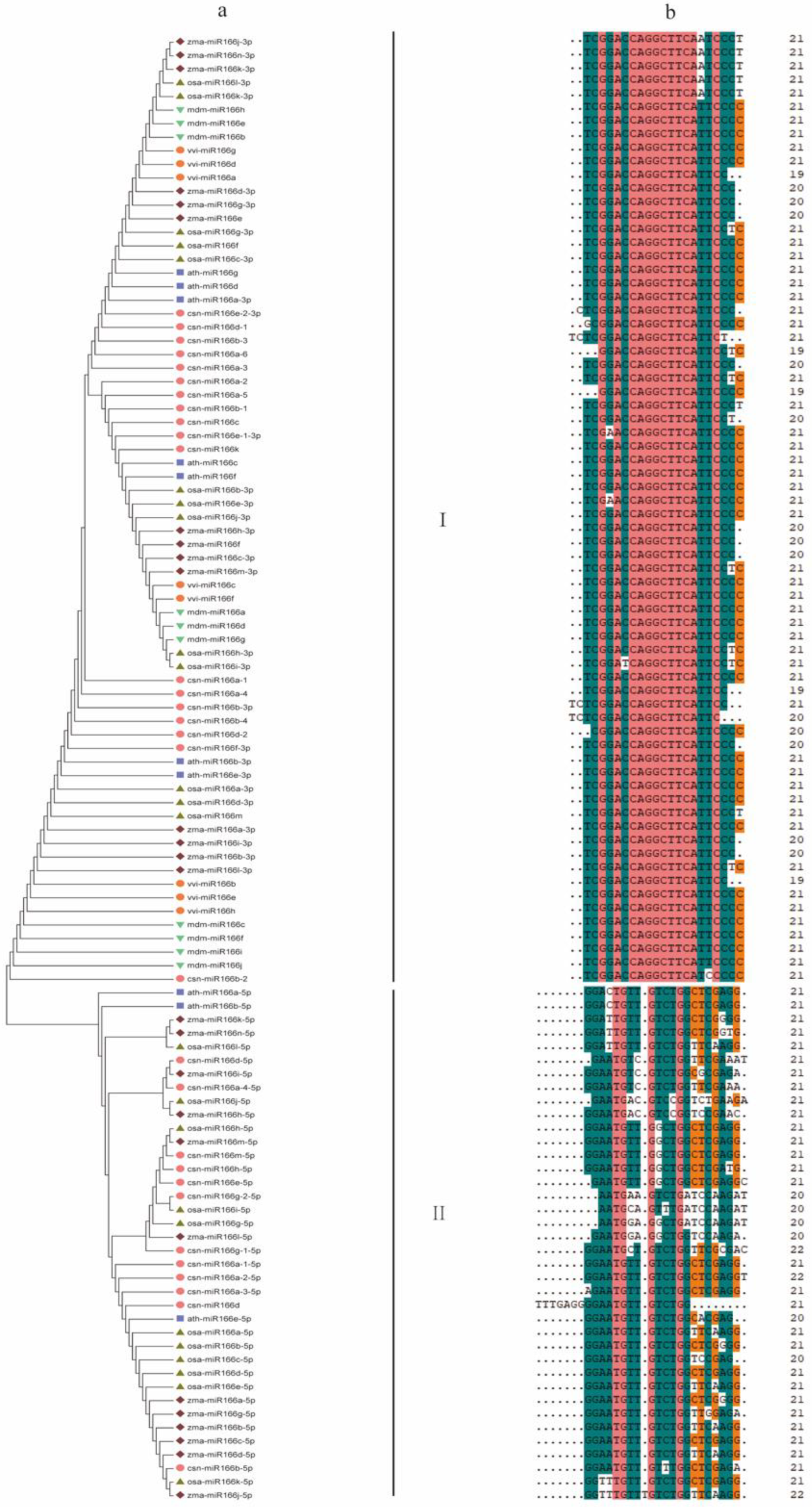 Forests 13 00628 g001