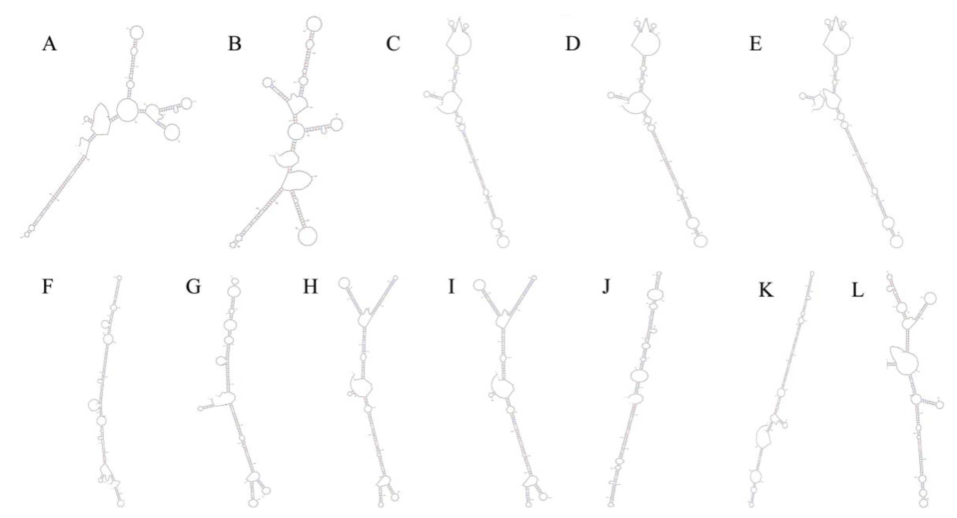 Forests 13 00628 g002