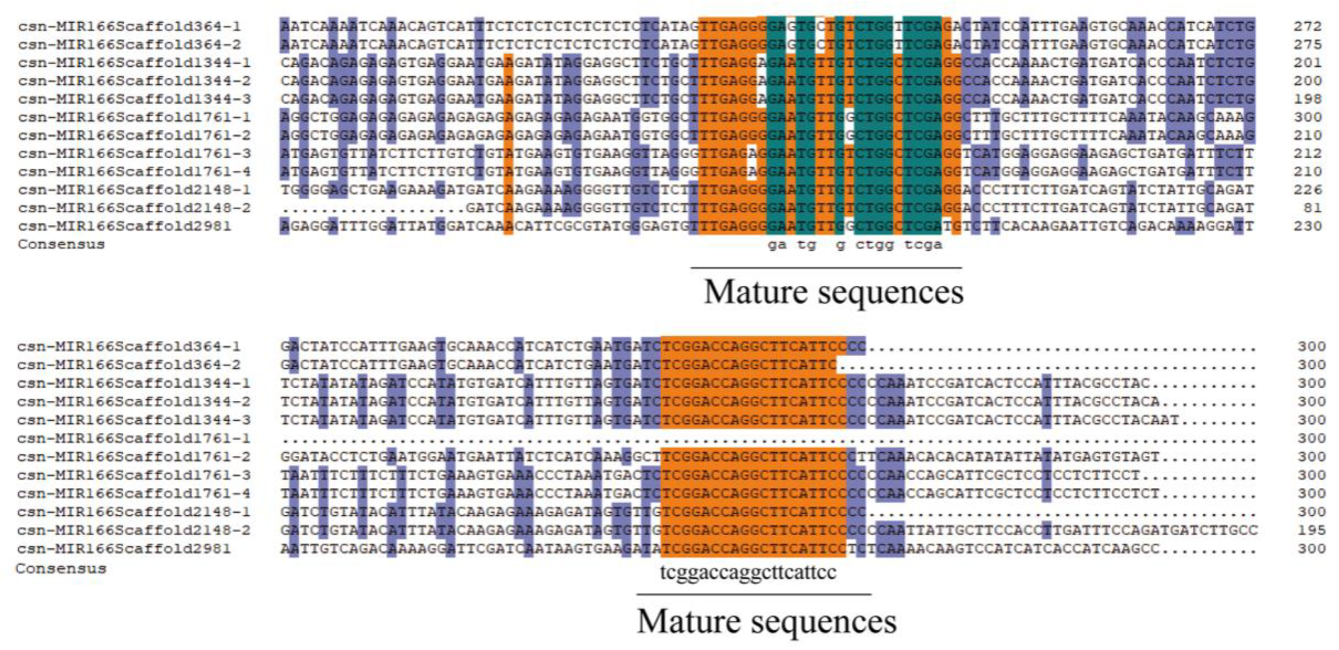 Forests 13 00628 g003