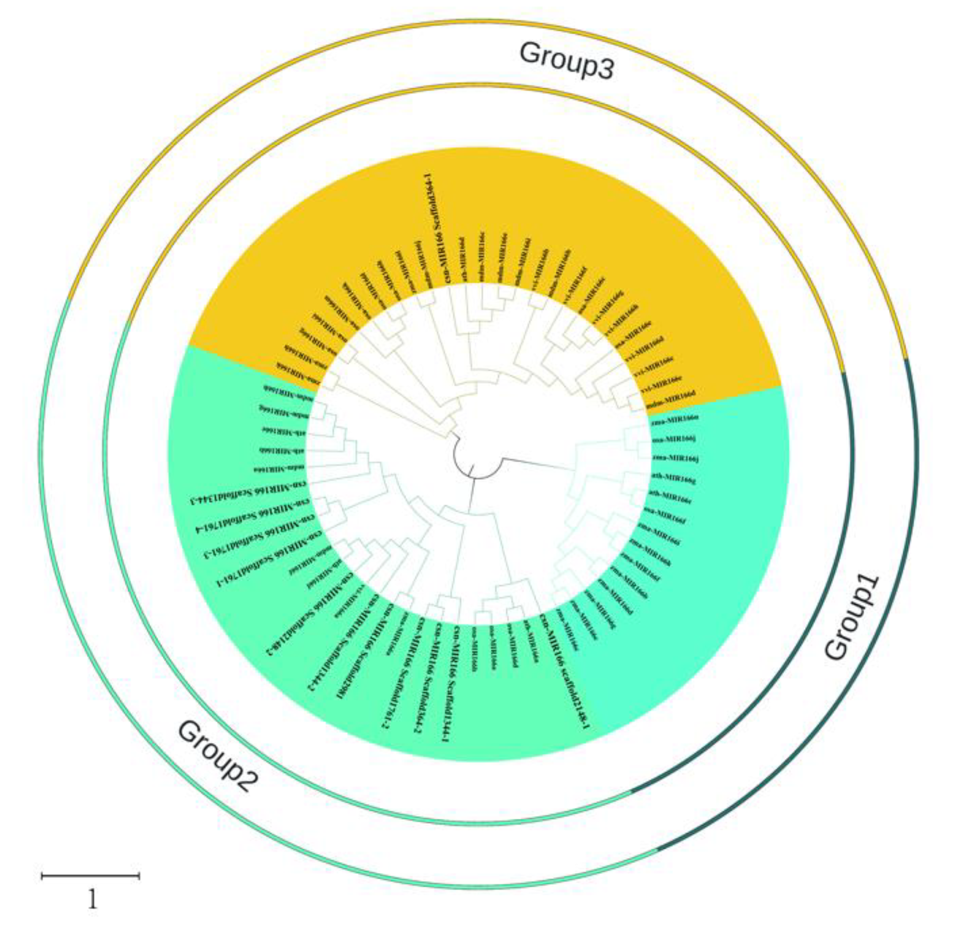Forests 13 00628 g004