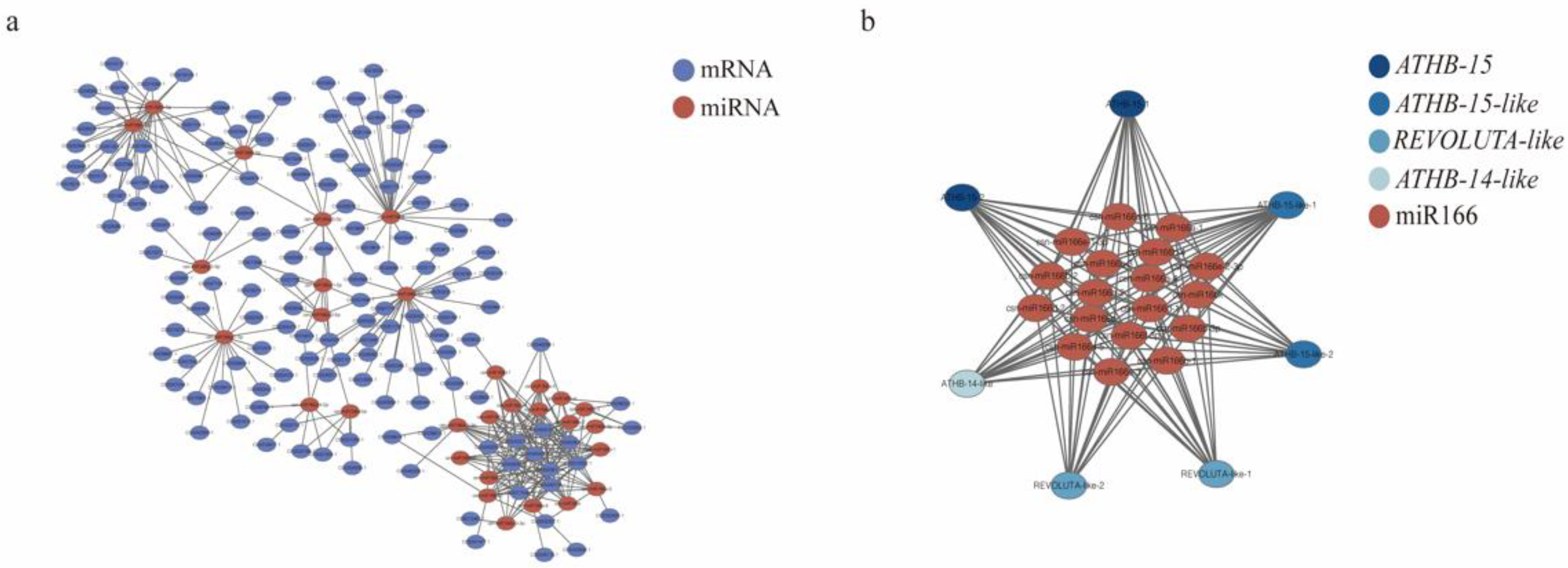 Forests 13 00628 g006
