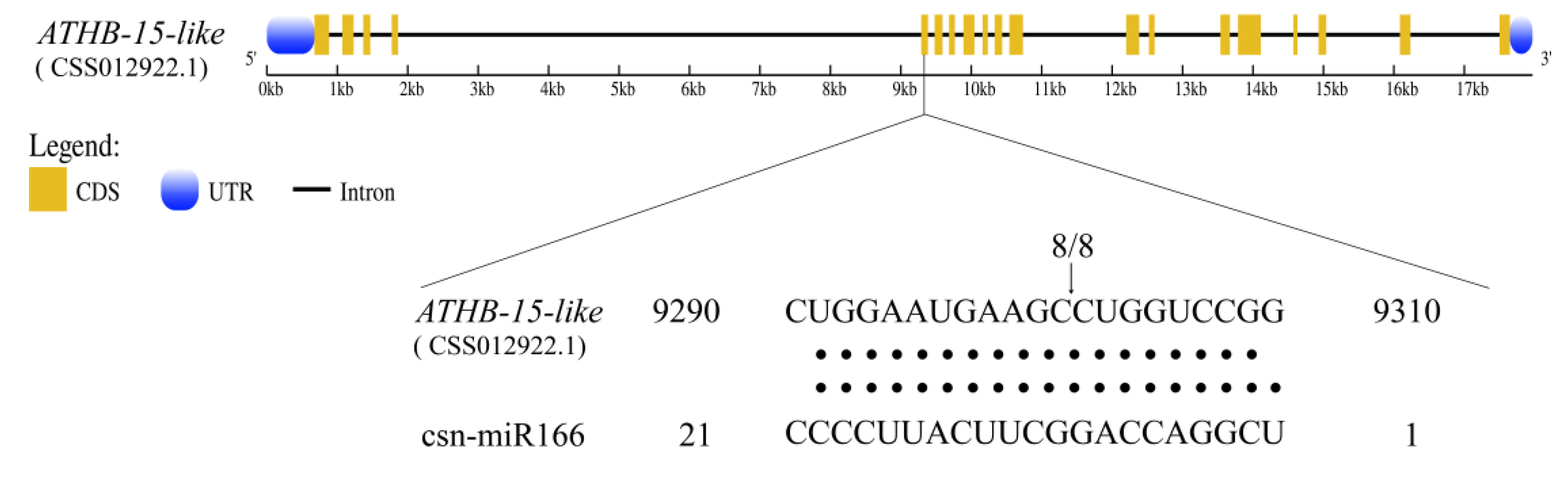 Forests 13 00628 g009