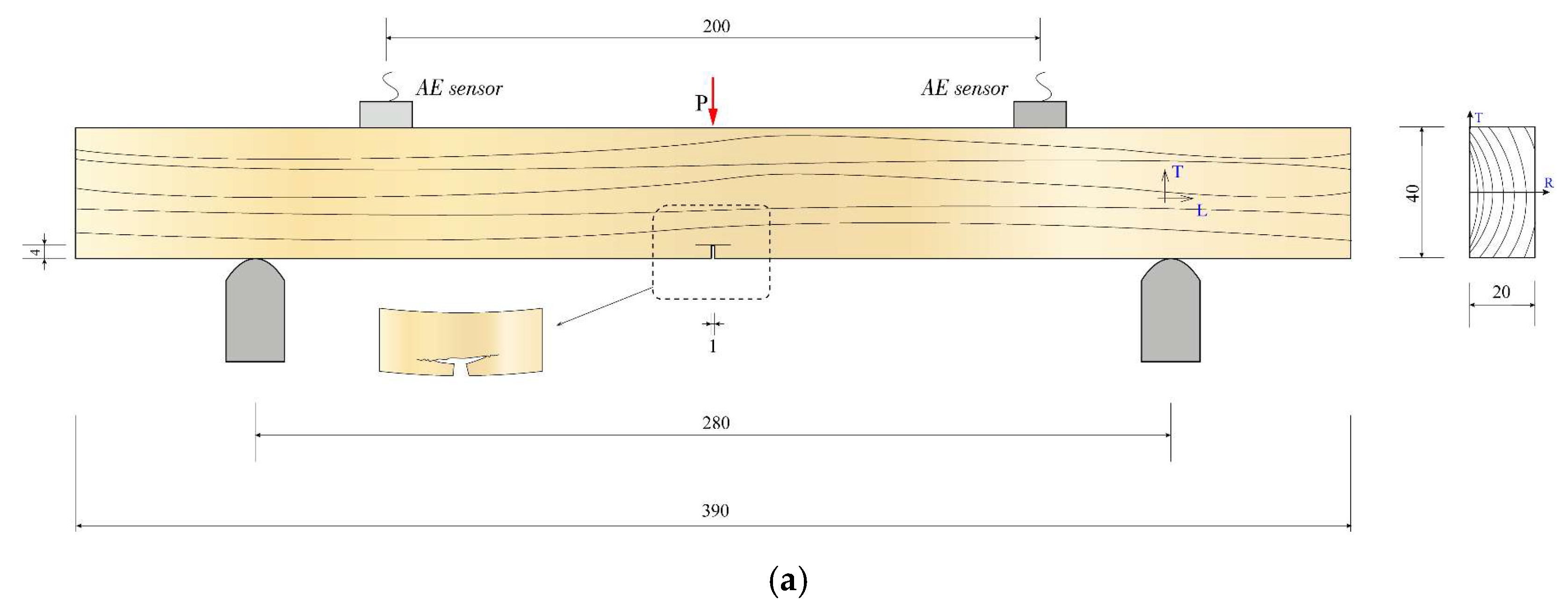 Forests 13 00631 g001a