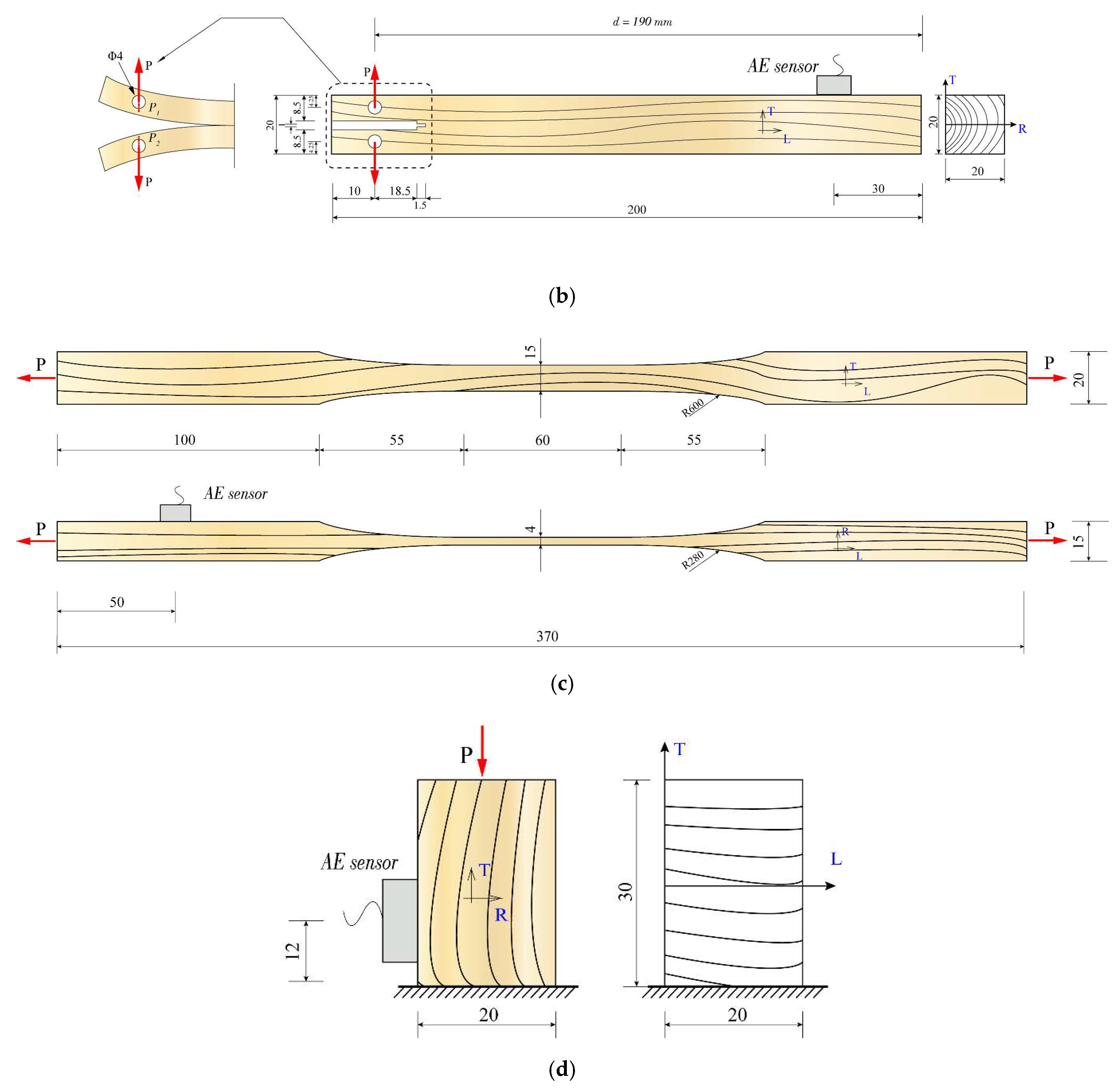 Forests 13 00631 g001b