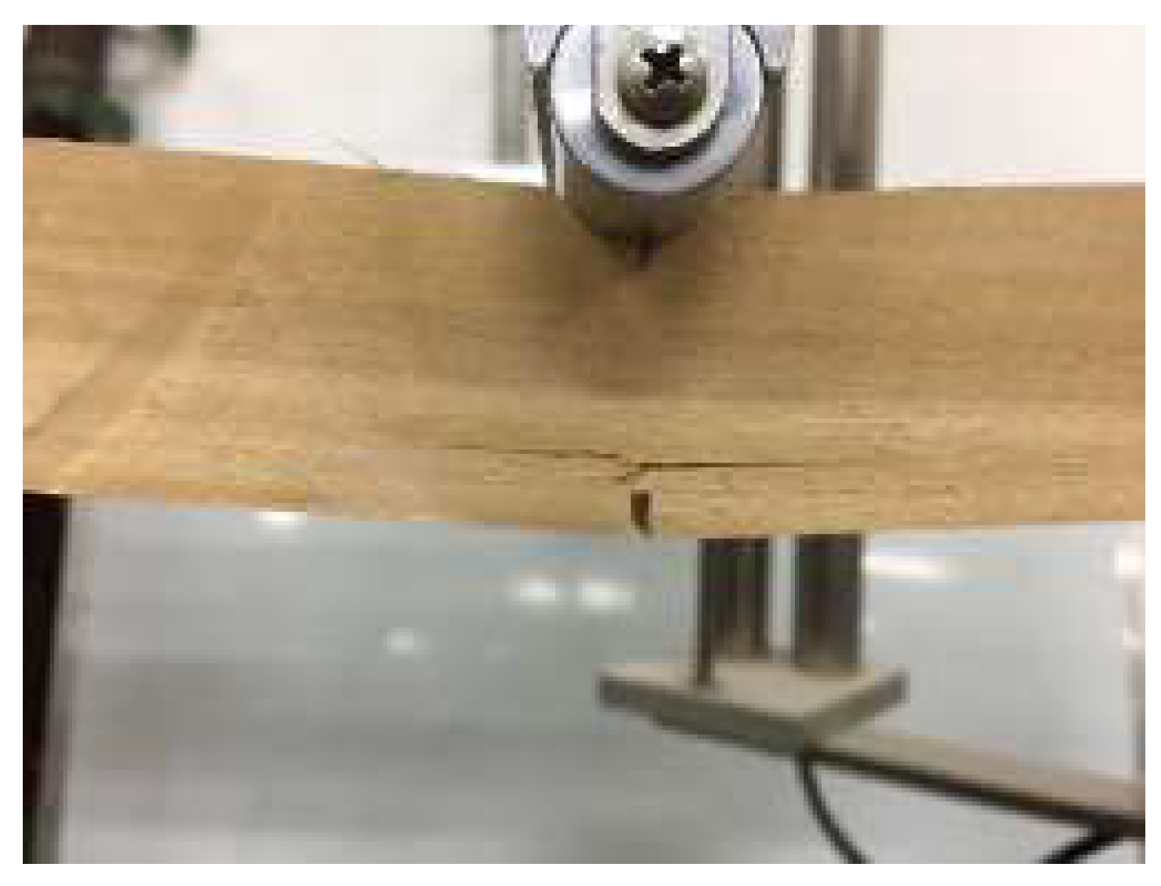 Forests 13 00631 g008