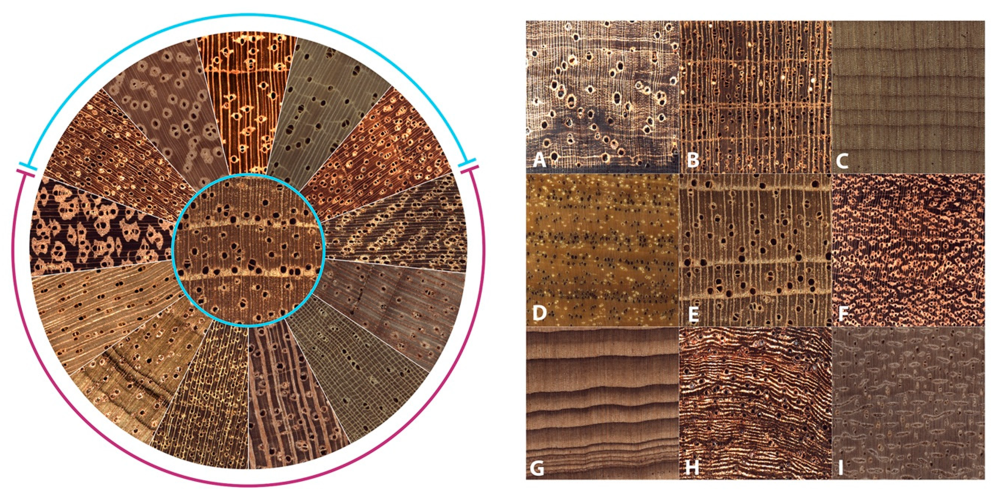 Forests 13 00632 g006