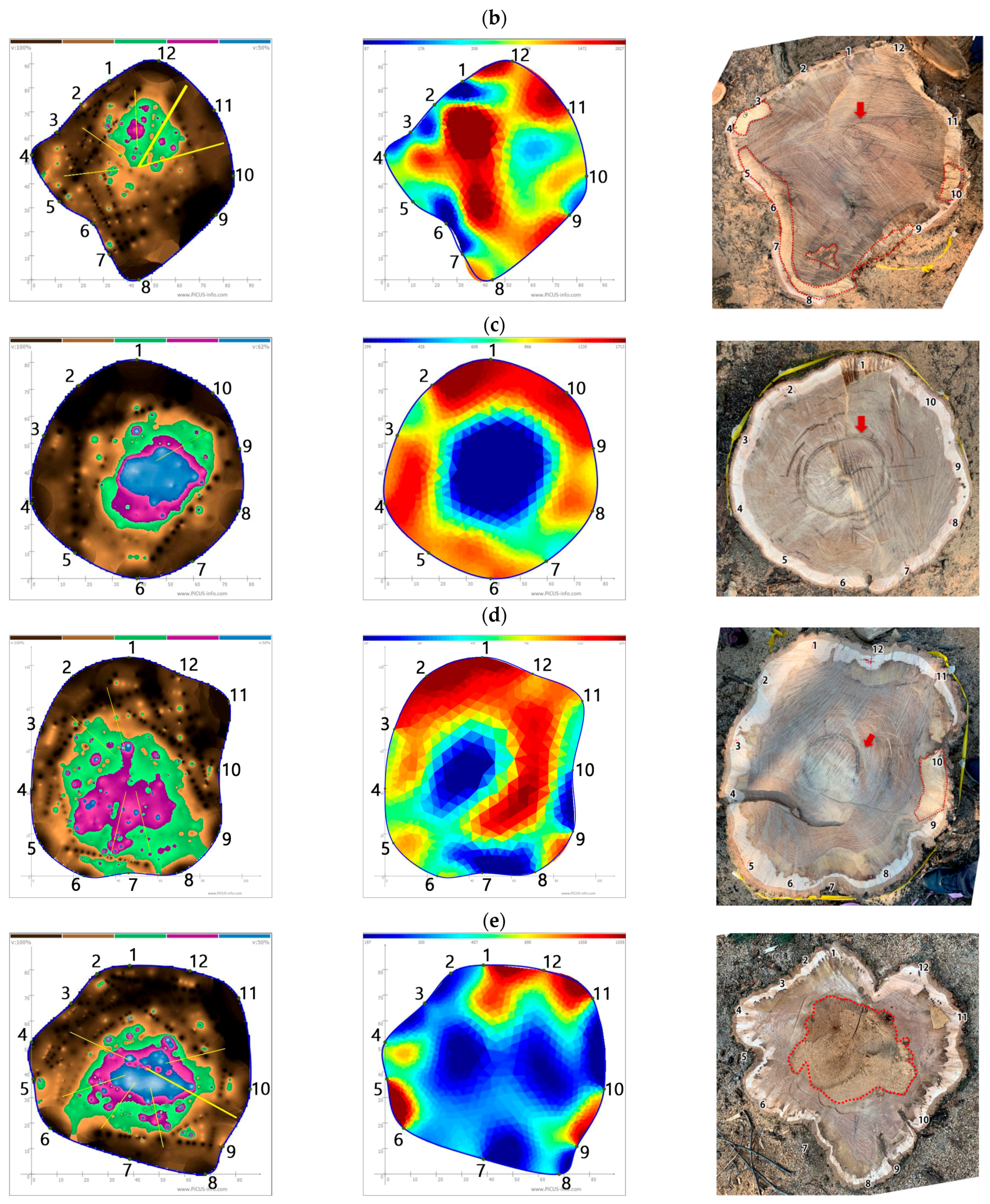 Forests 13 00638 g001b