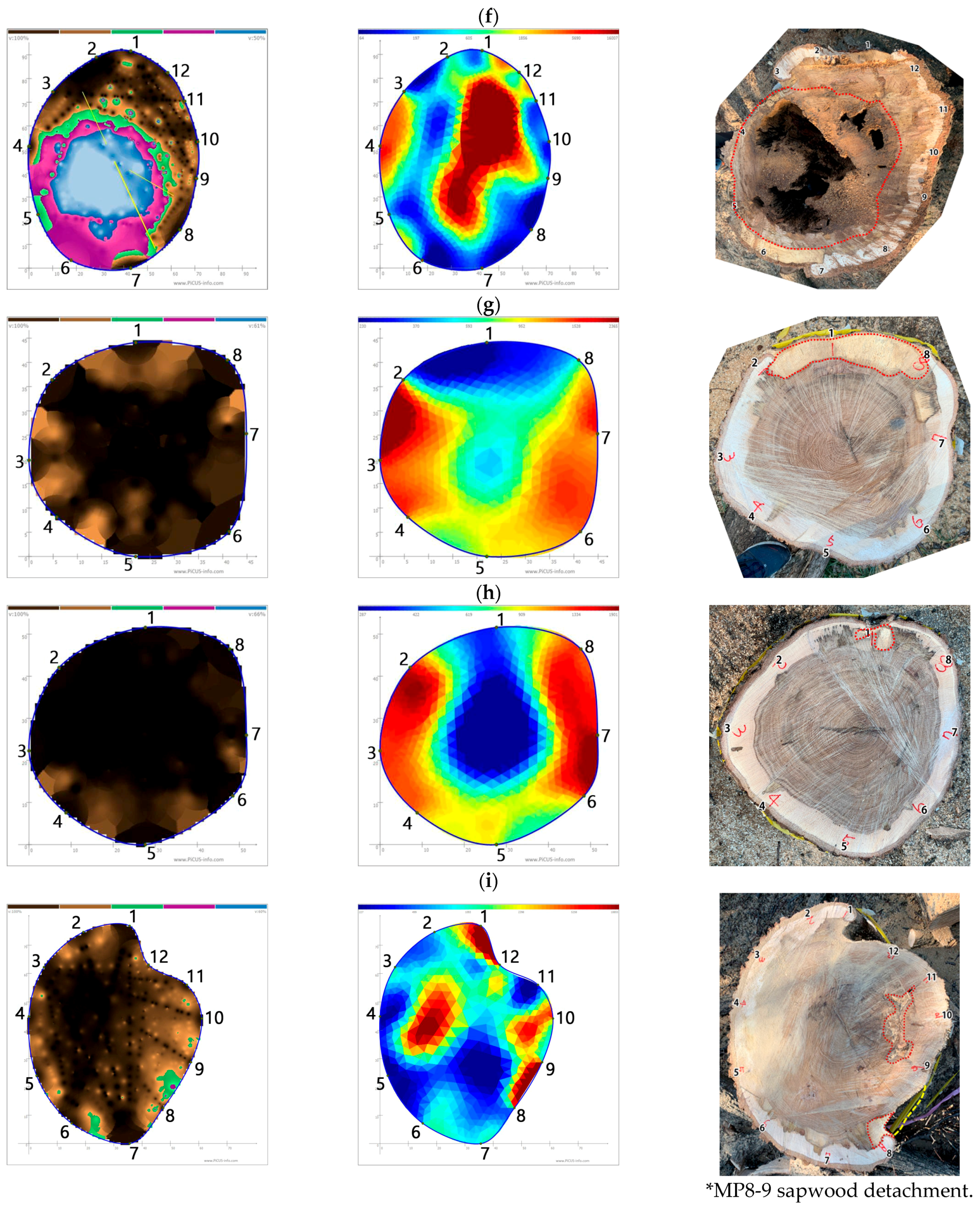 Forests 13 00638 g001c